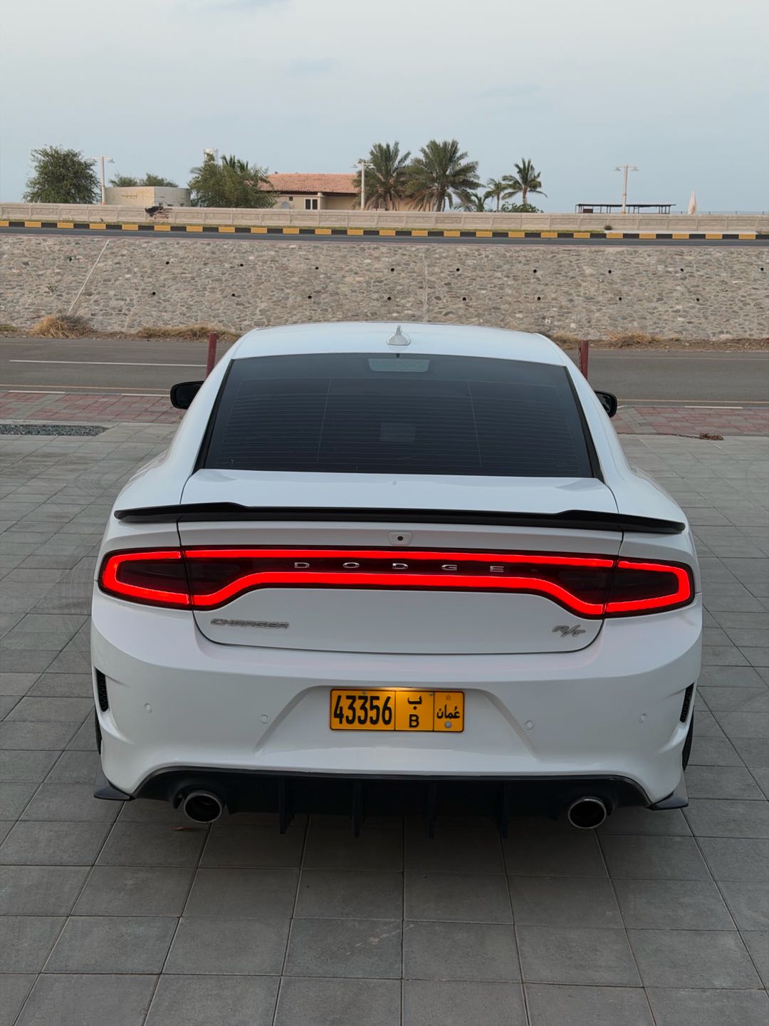 Car Image 2019 DODGE CHARGER R/T