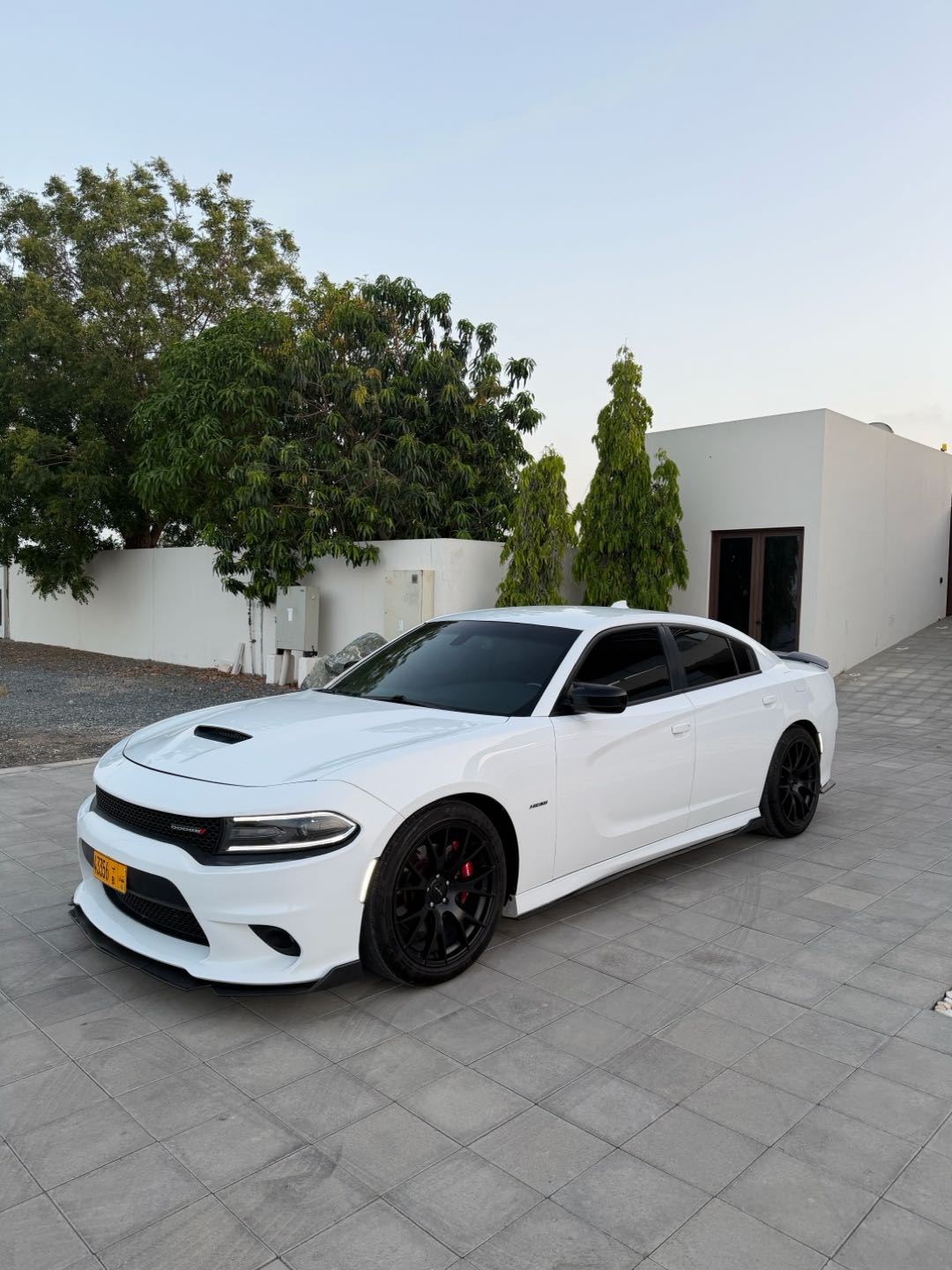 Car Image 2019 DODGE CHARGER R/T