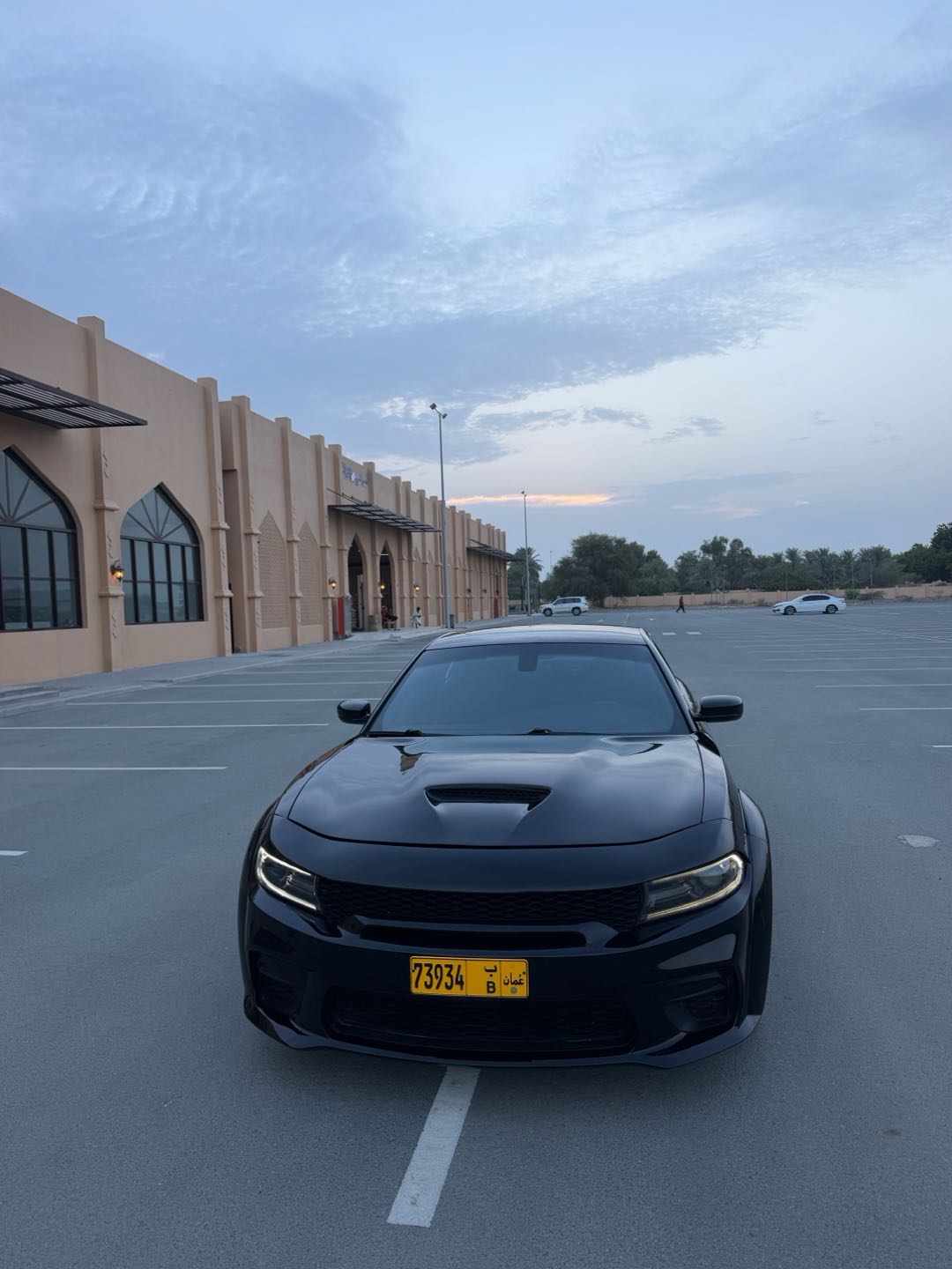 Car Image 2019 DODGE CHARGER SXT