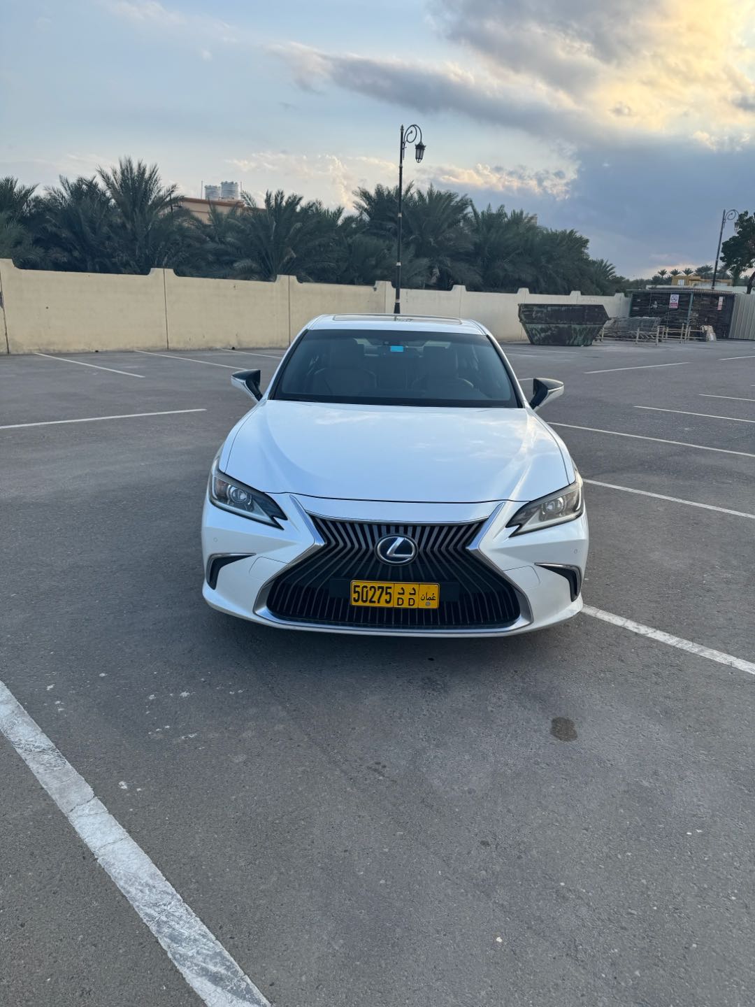 Car Image 2020 LEXUS ES 300