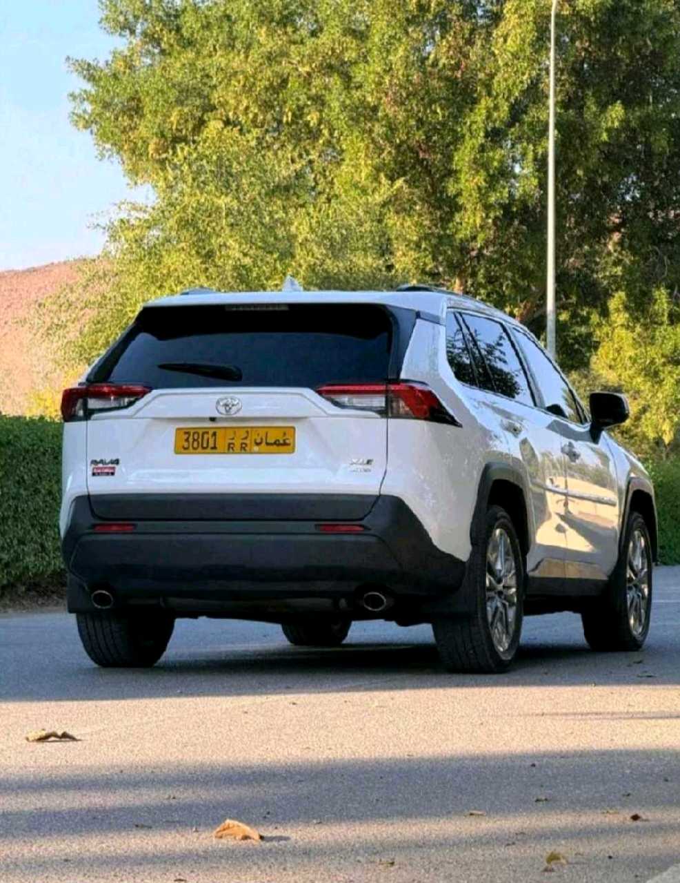 Car Image 2019 TOYOTA RAV4 PREMIUM