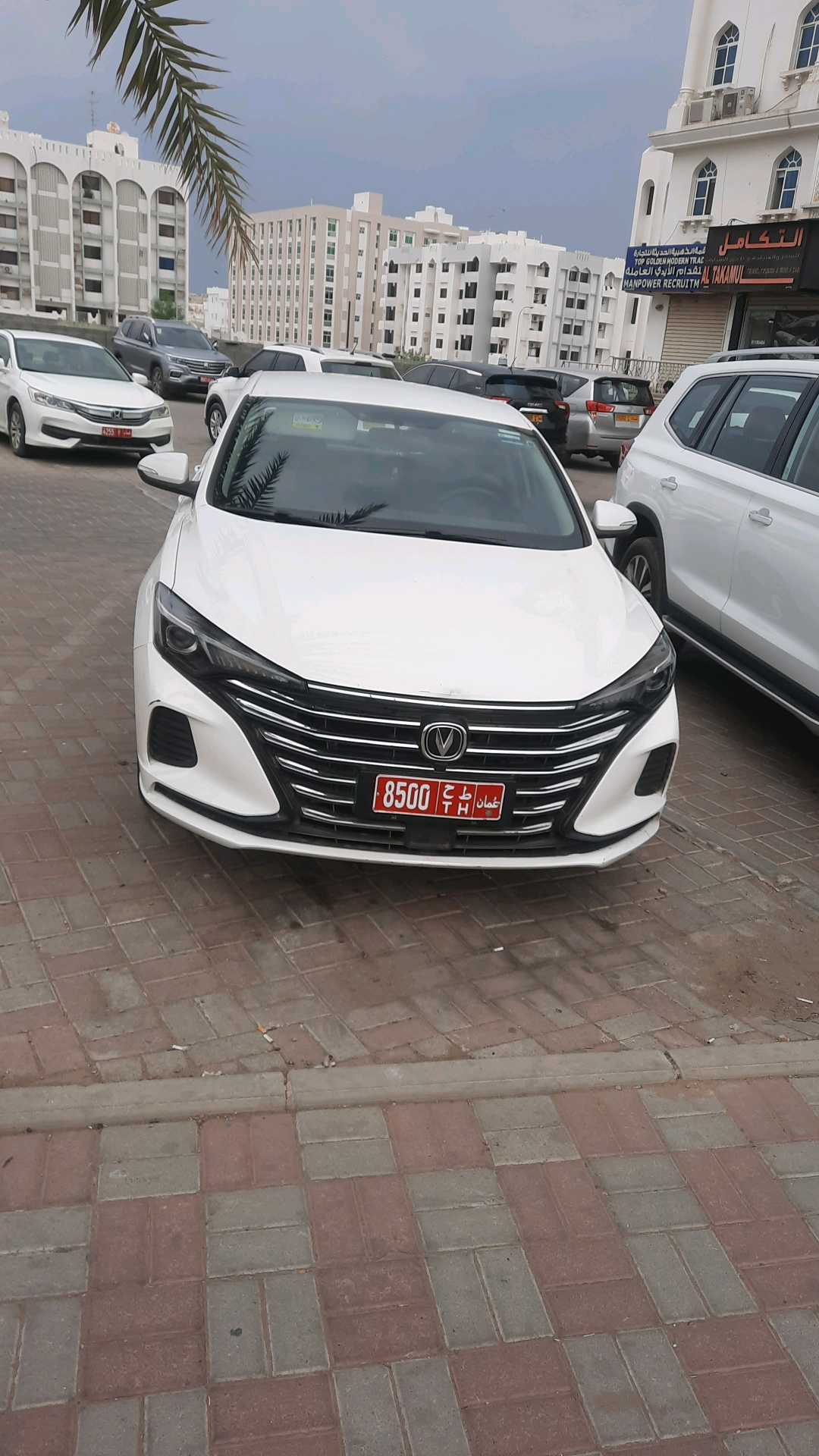 نيسان صني 2020