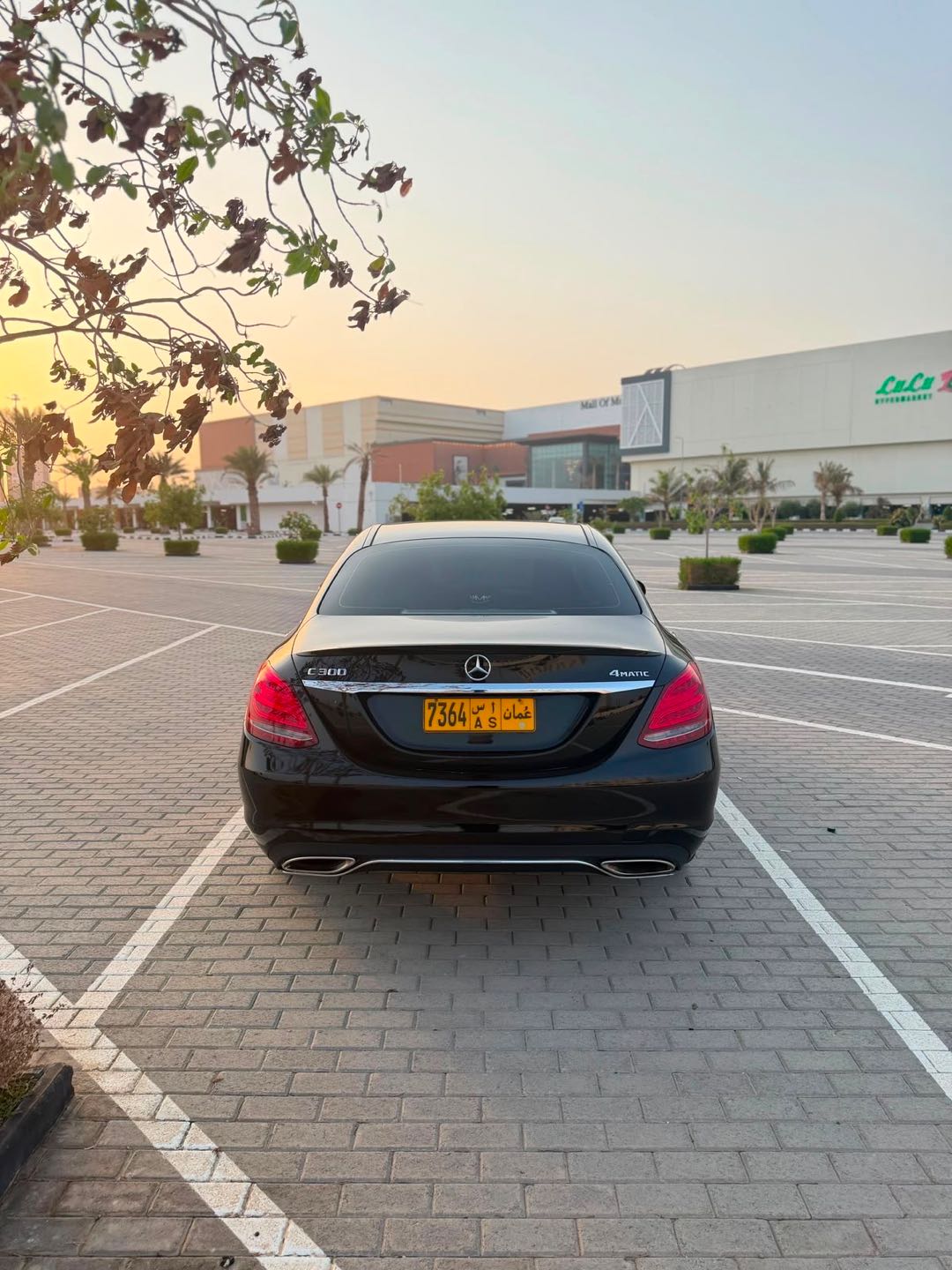 Car Image 2016 MERCEDES C Class 300