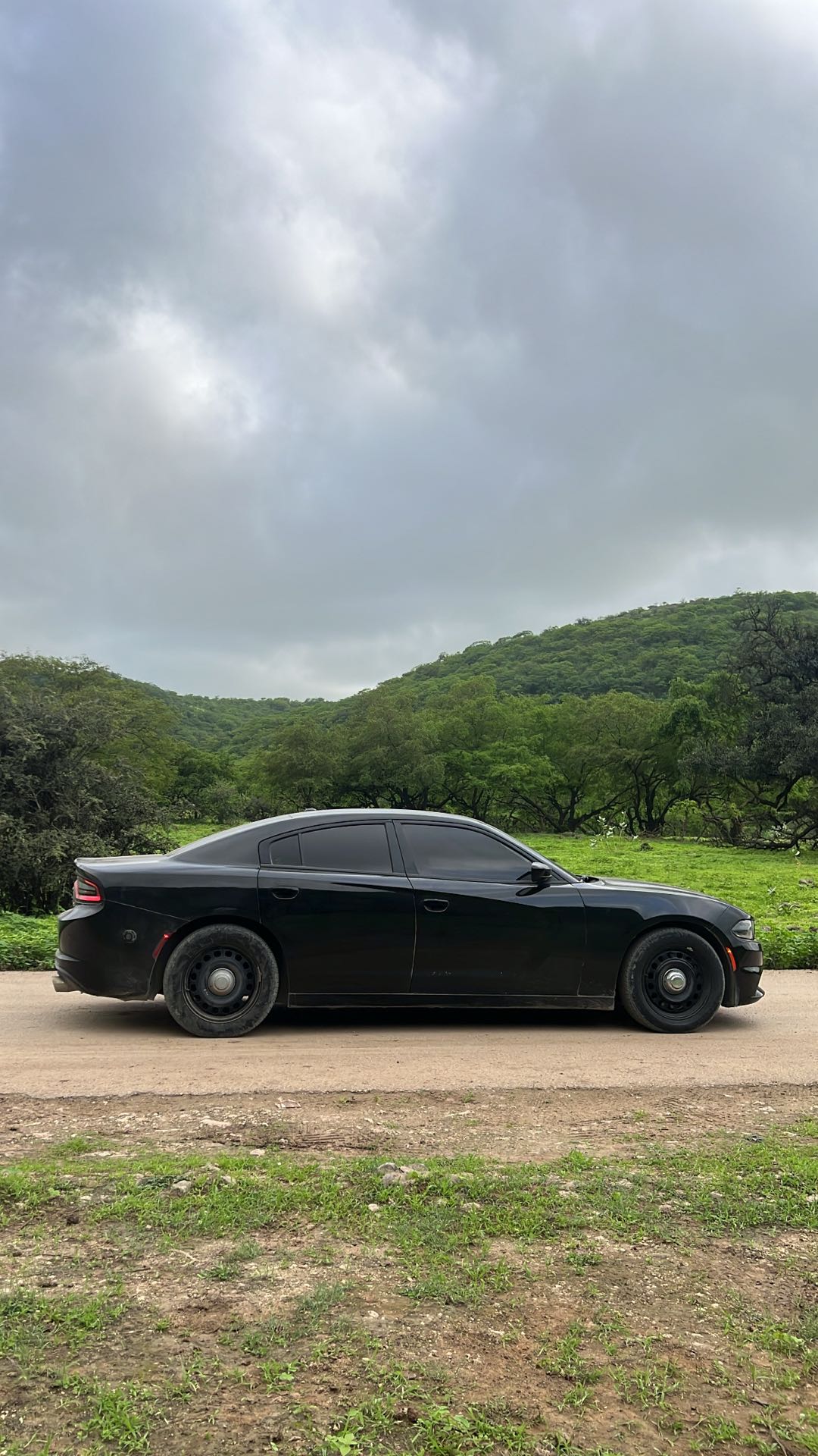 Car Image 2019 DODGE CHARGER R/T