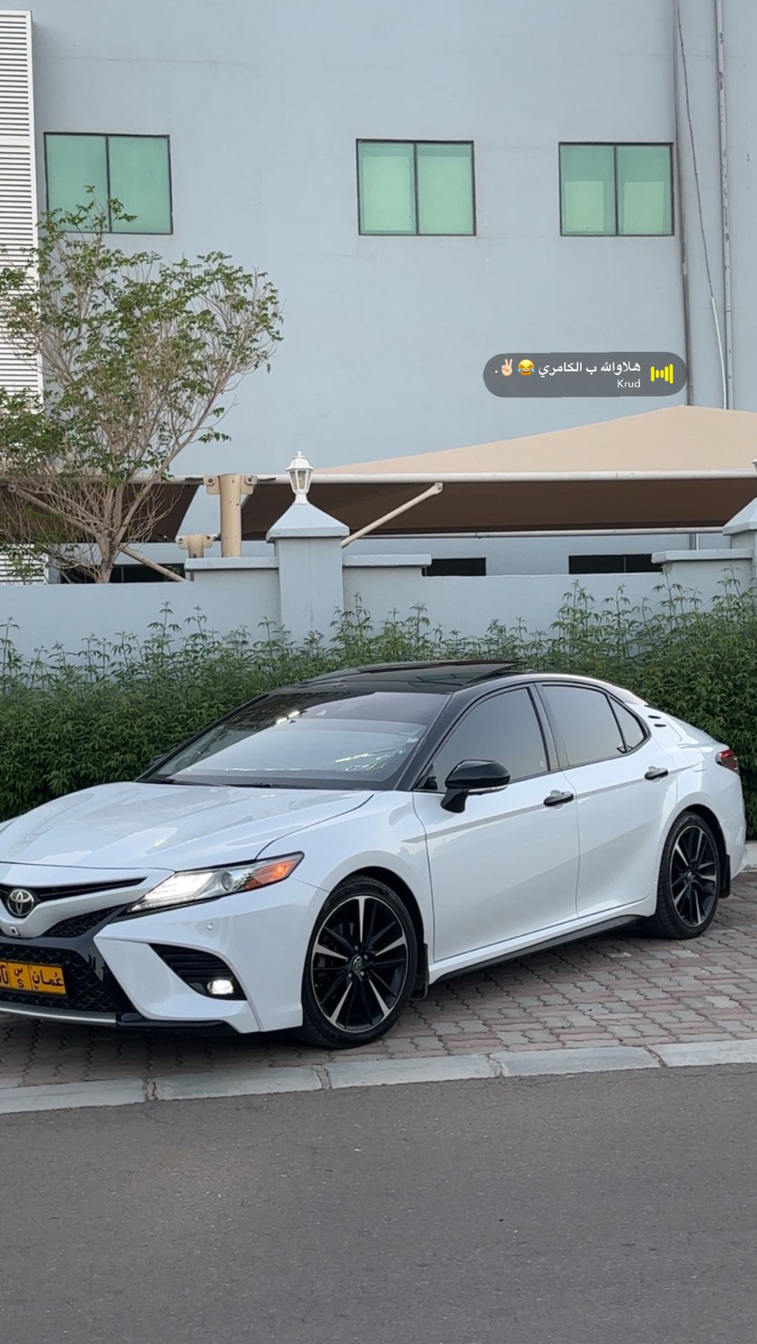 Car Image 2019 TOYOTA CAMRY XLE
