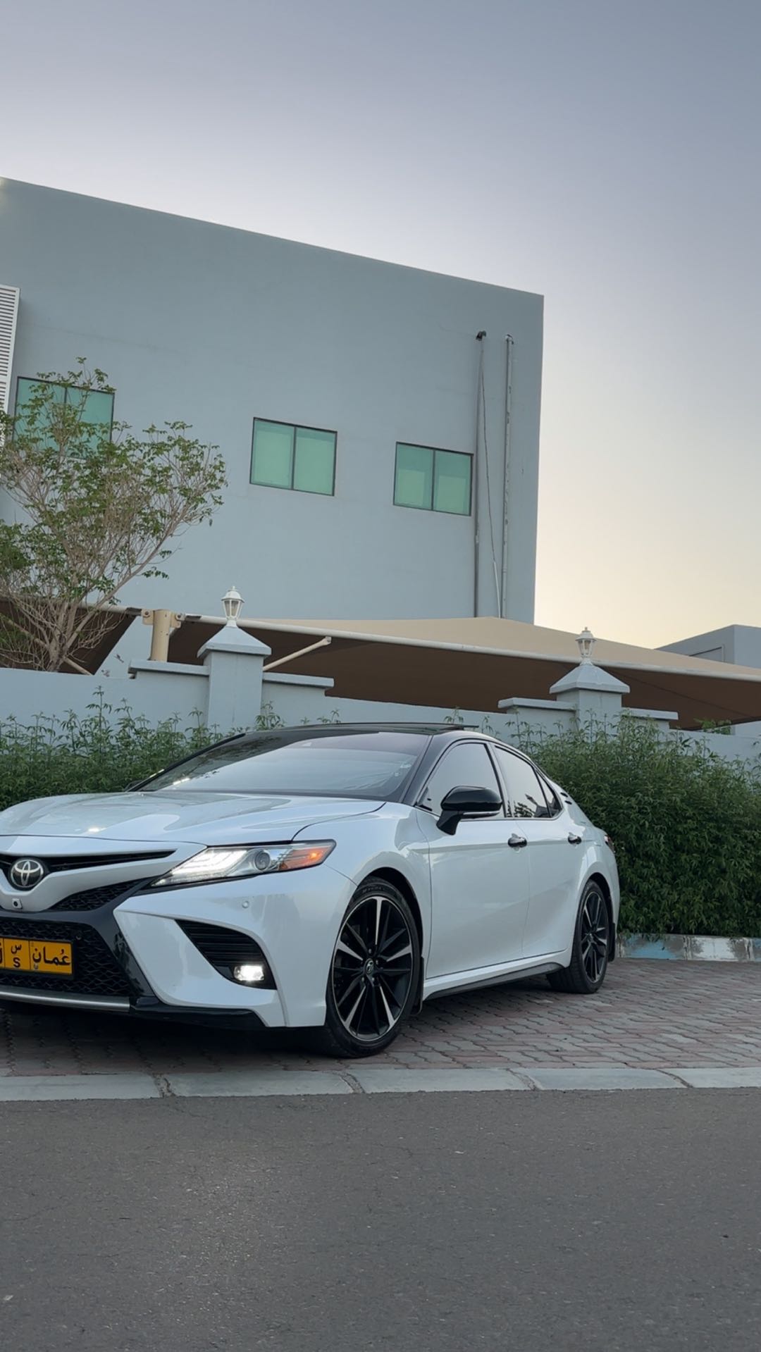 Car Image 2019 TOYOTA CAMRY XLE