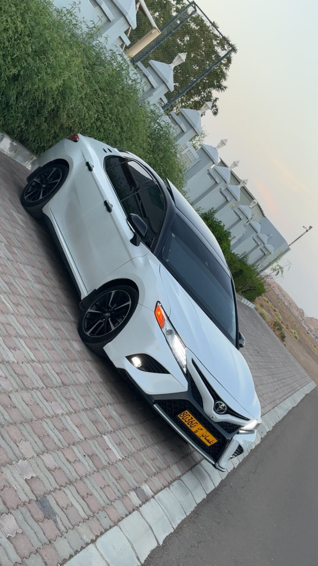 Car Image 2019 TOYOTA CAMRY XLE