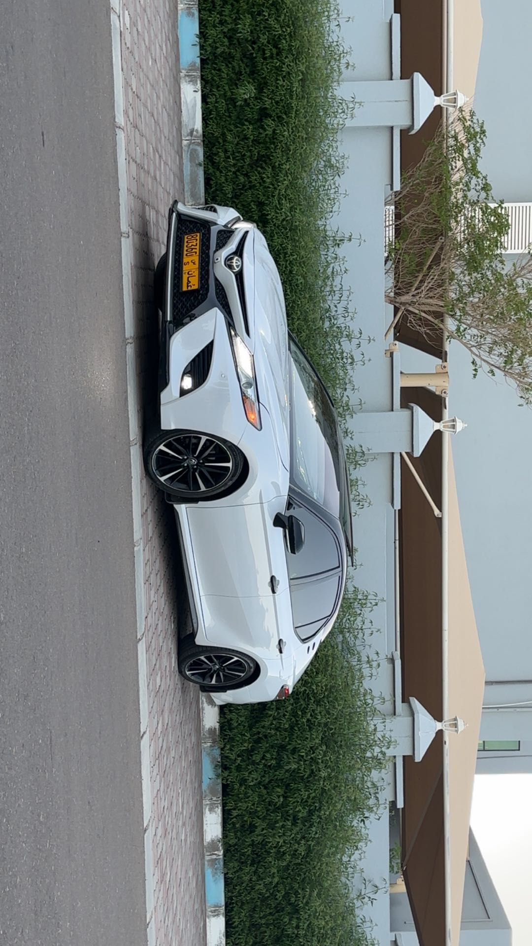 Car Image 2019 TOYOTA CAMRY XLE