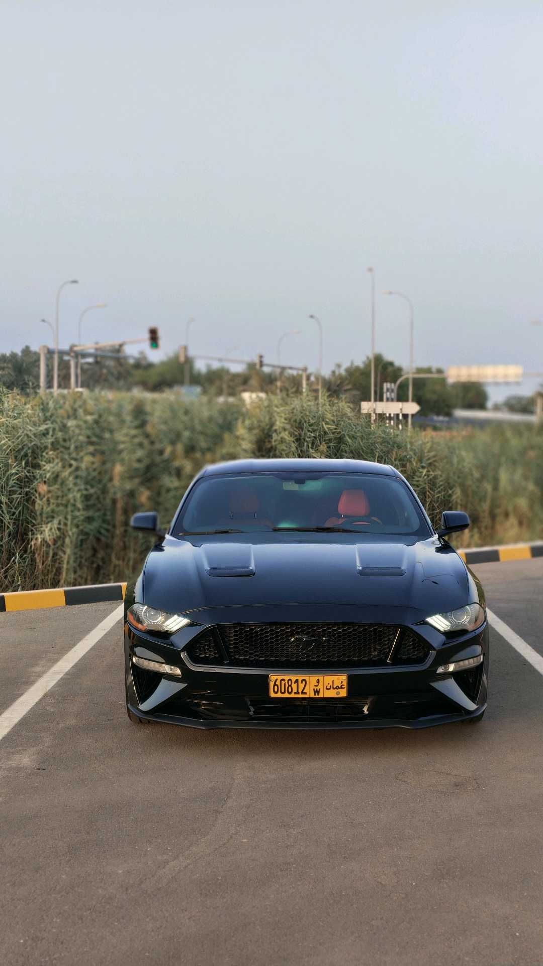 Car Image 2018 FORD MUSTANG GT