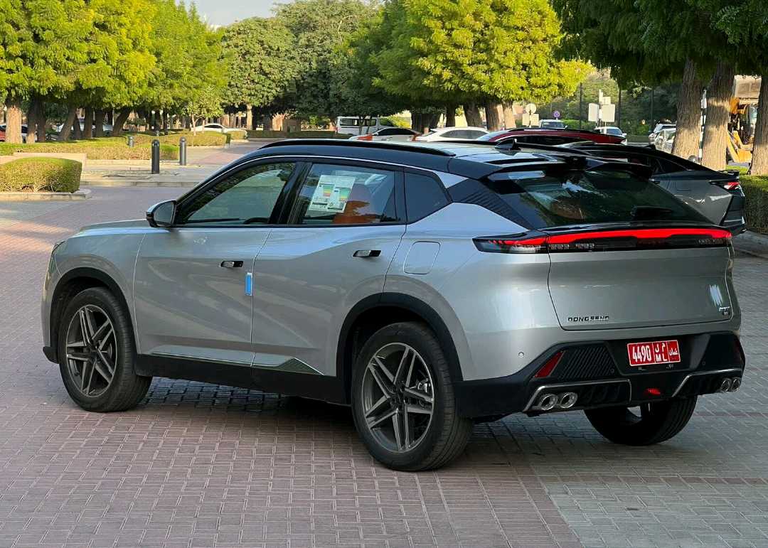 دونغفنغ ميج 2026