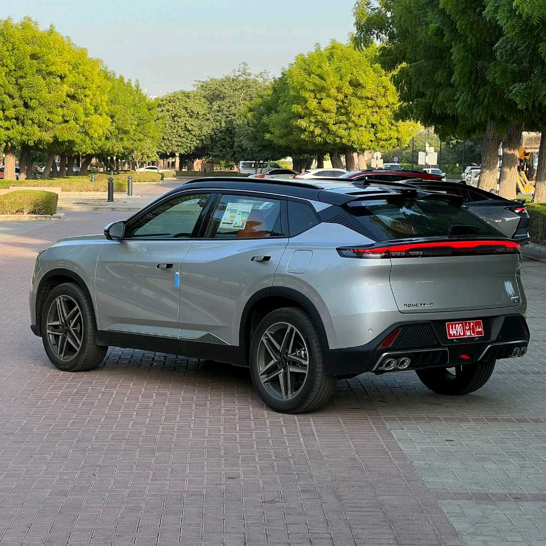 دونغفنغ ميج 2026