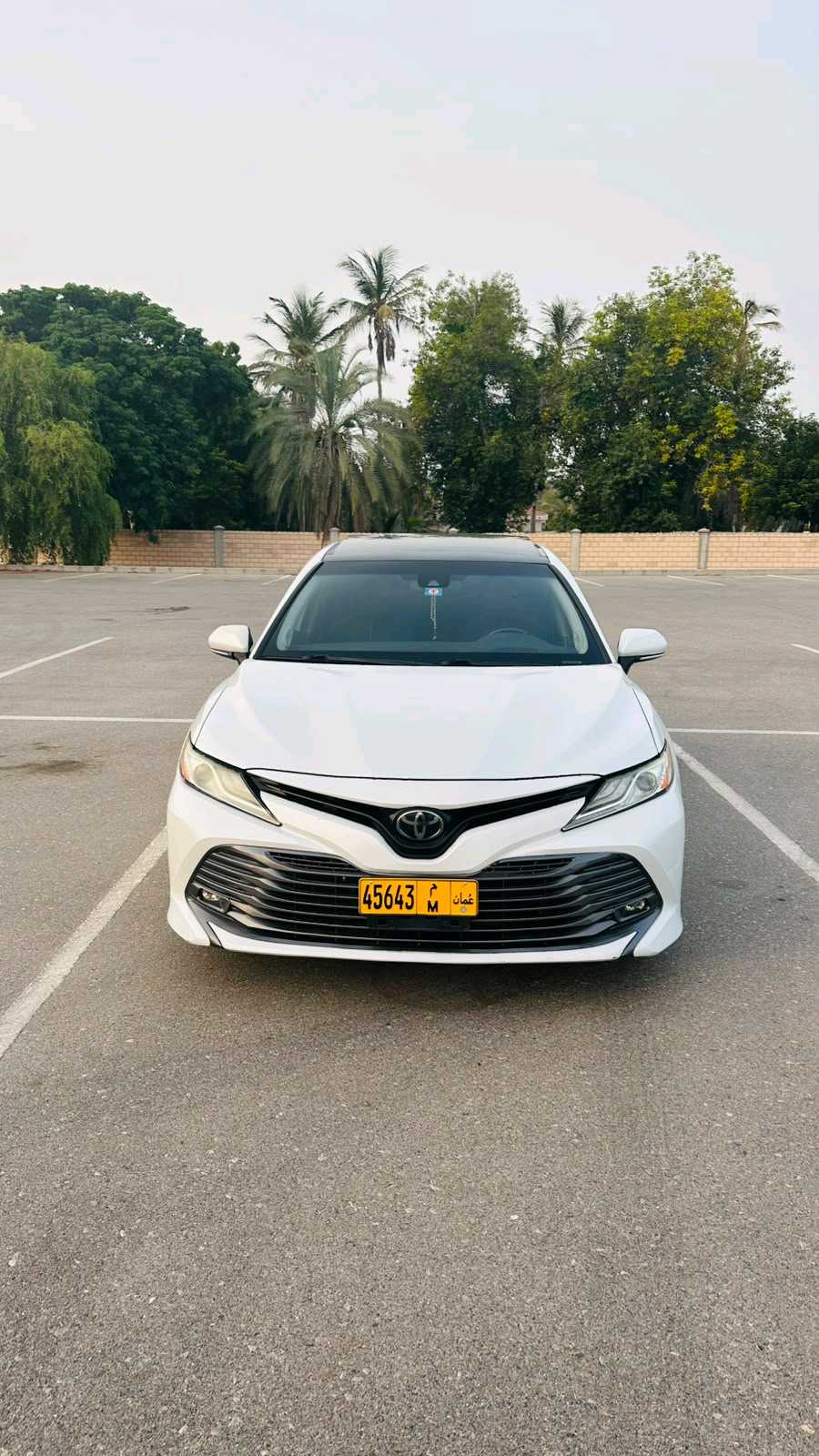 Car Image 2020 TOYOTA CAMRY XLE