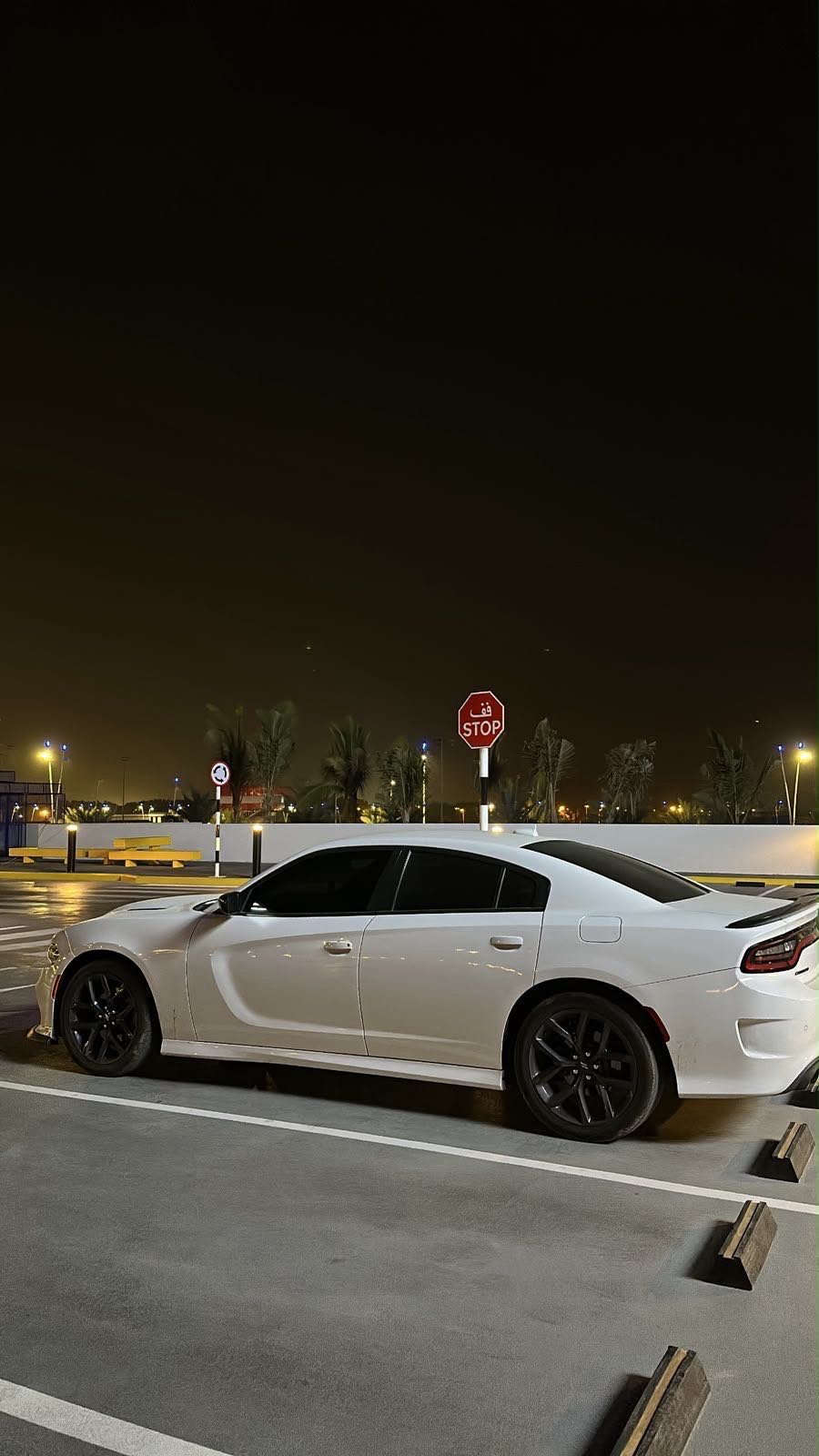 Car Image 2021 DODGE CHARGER R/T