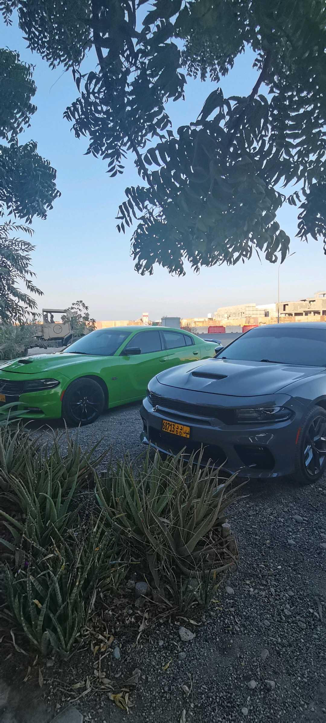 Car Image 2019 DODGE CHARGER SXT