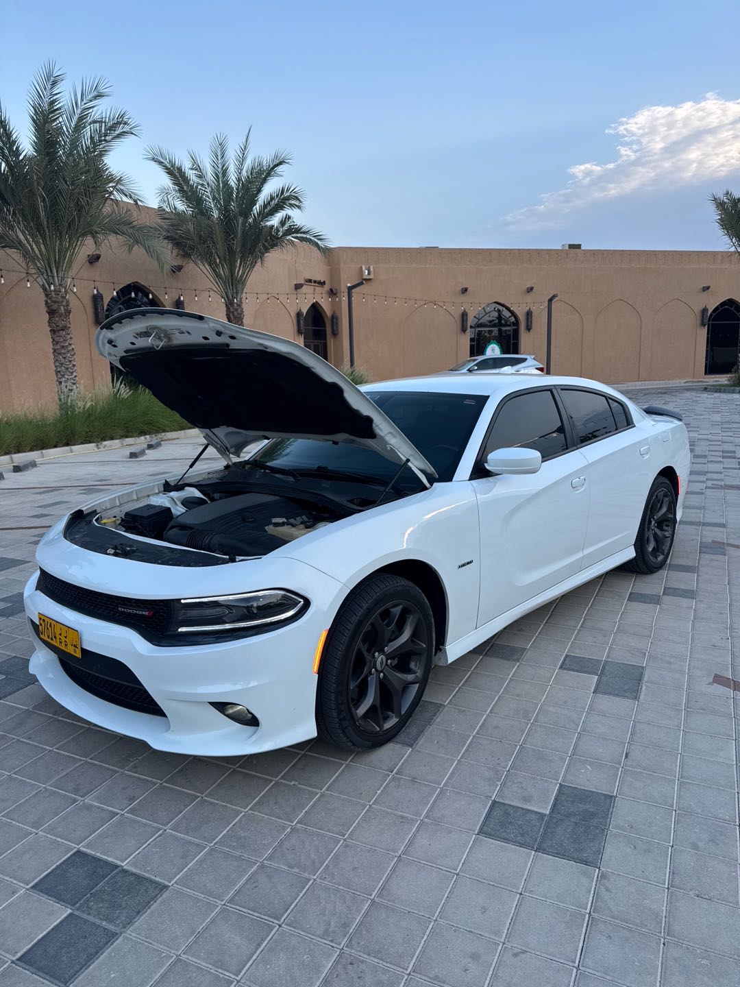 Car Image 2019 DODGE CHARGER R/T