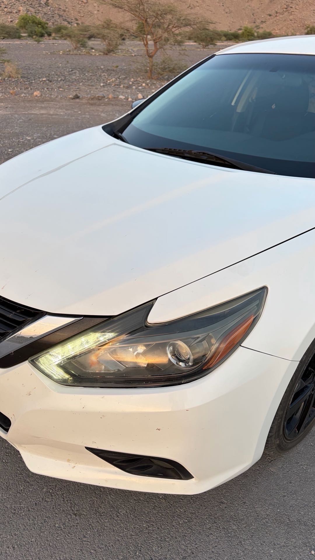 Car Image 2017 NISSAN ALTIMA SR