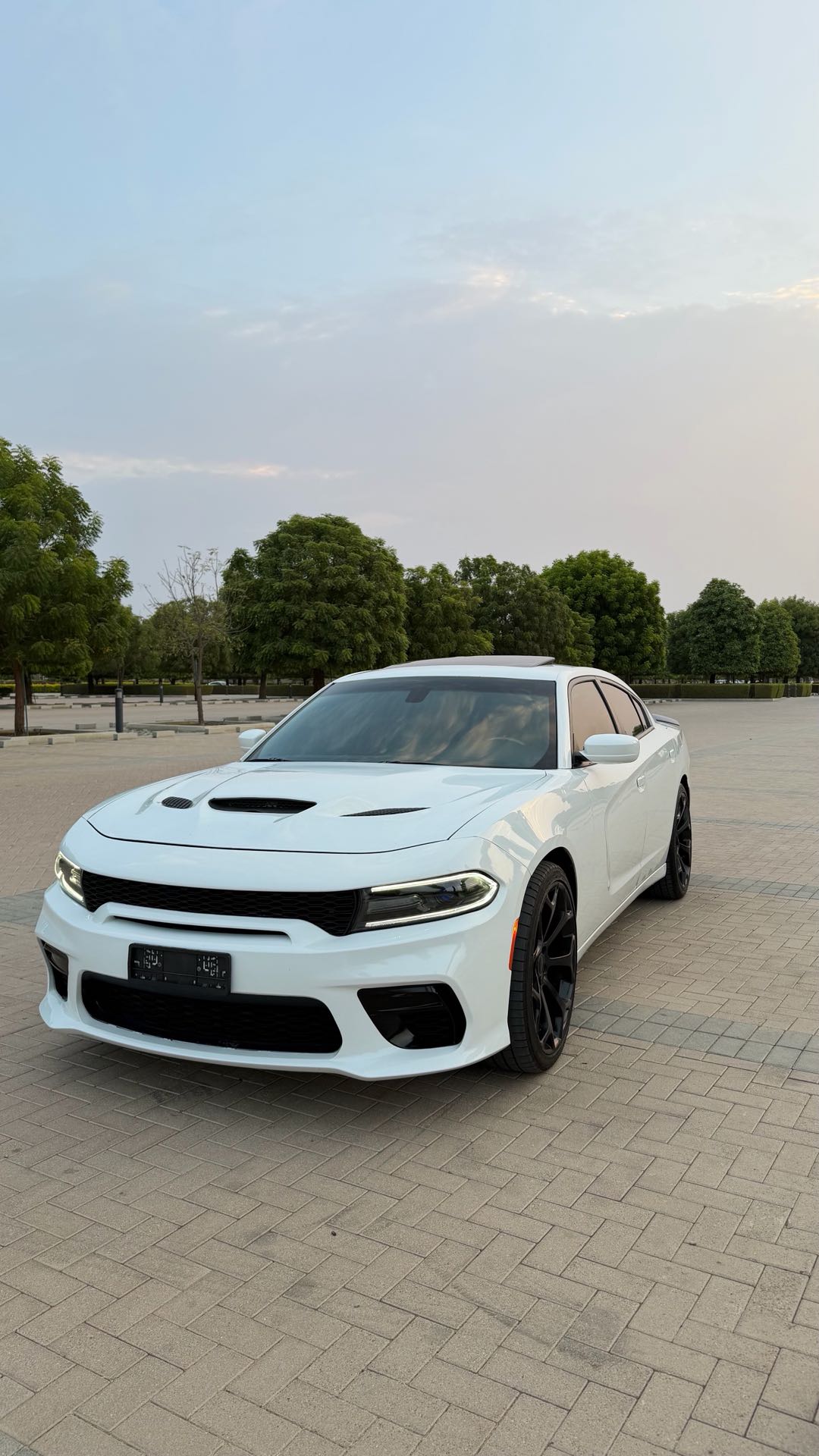 Car Image 2019 DODGE CHARGER SXT