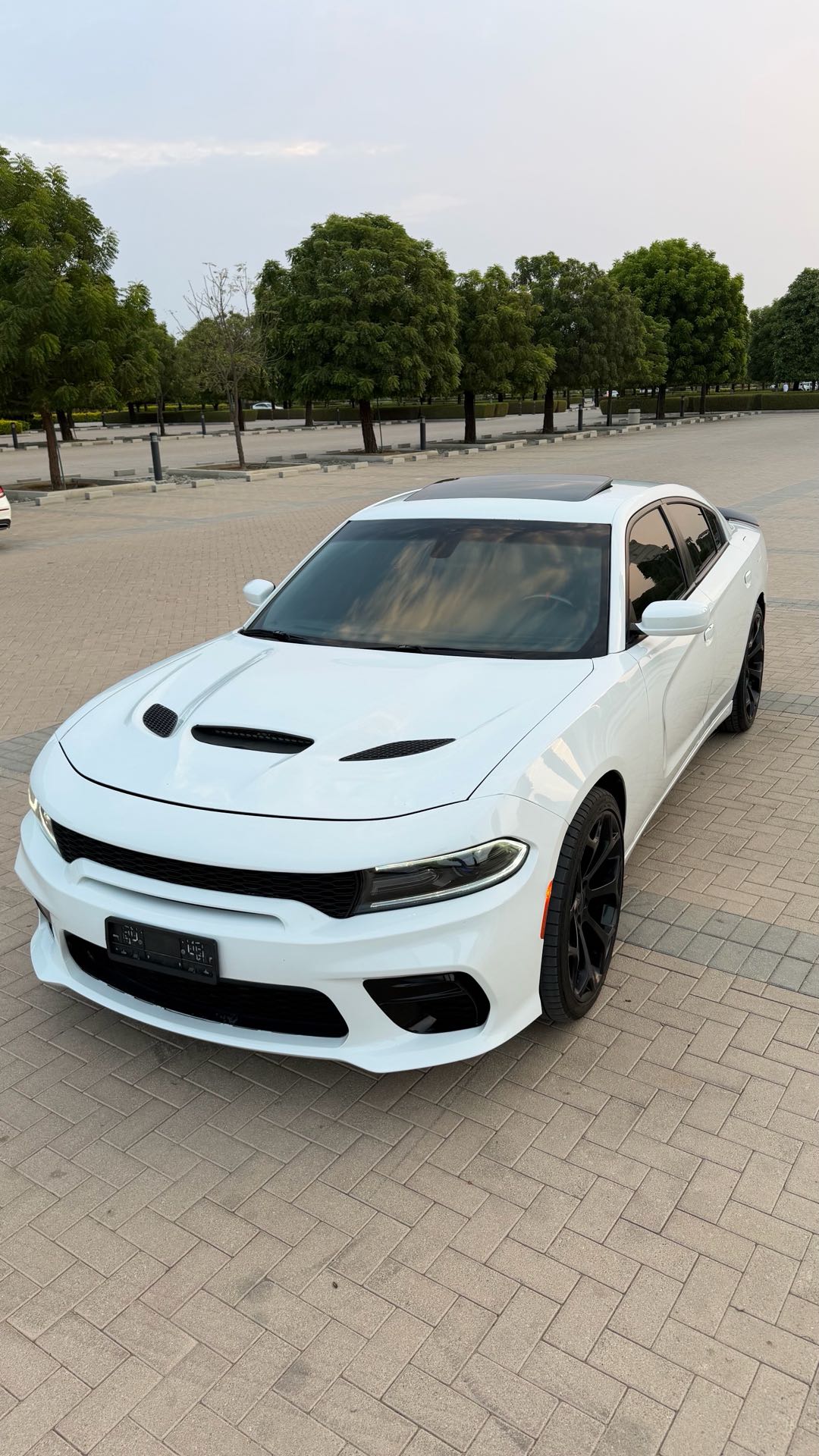 Car Image 2019 DODGE CHARGER SXT
