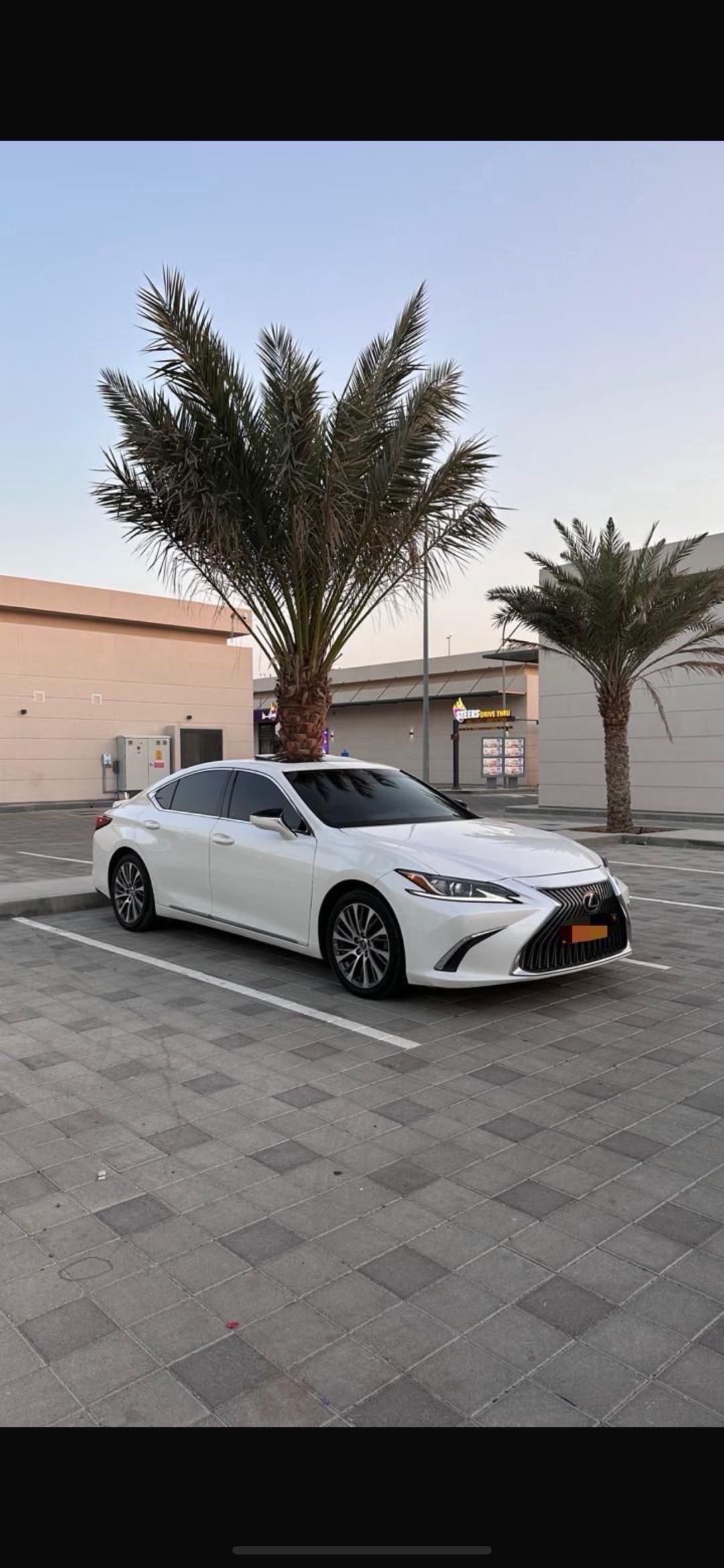 Car Image 2019 LEXUS ES 350
