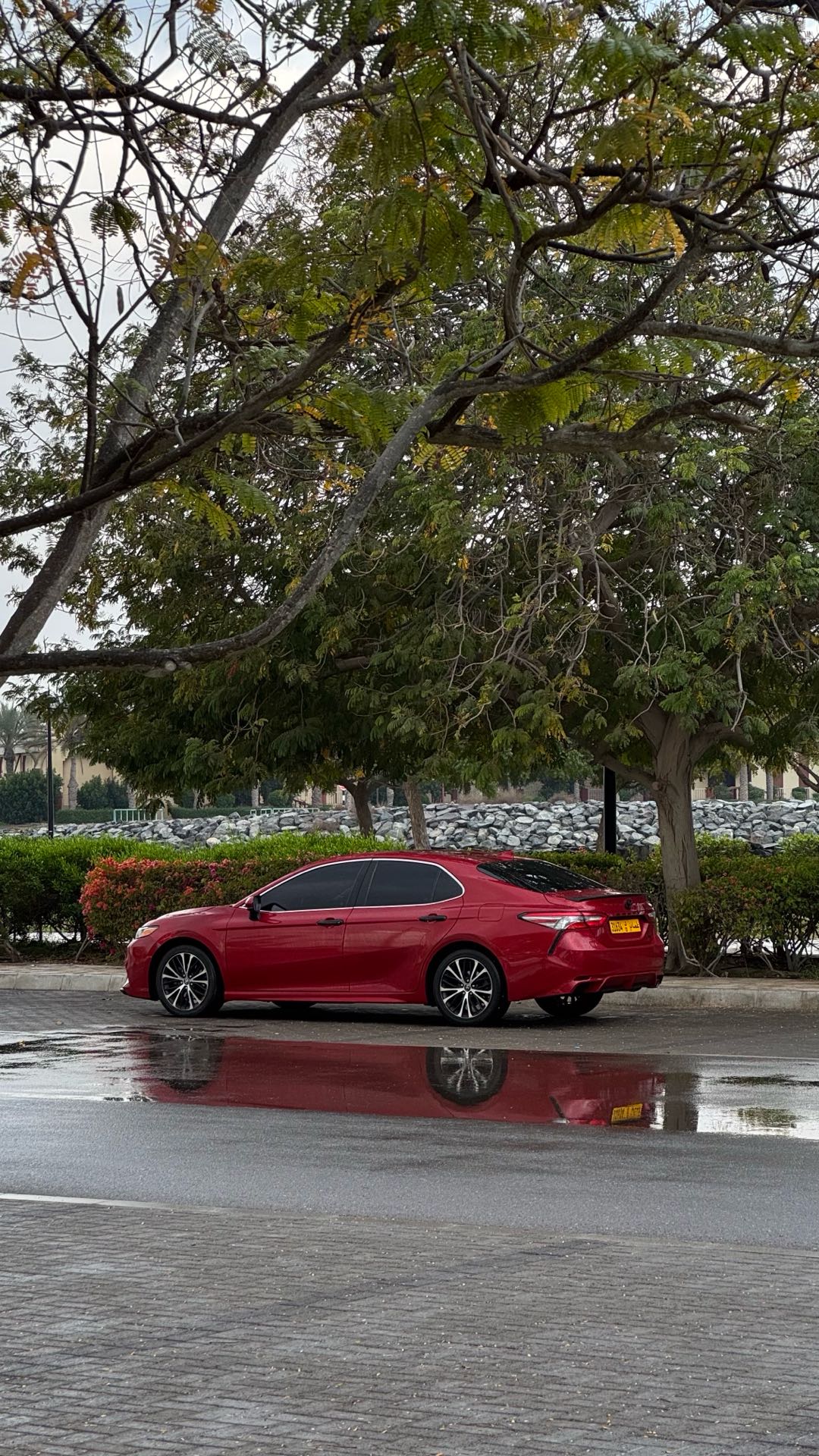 Car Image 2019 TOYOTA CAMRY SE
