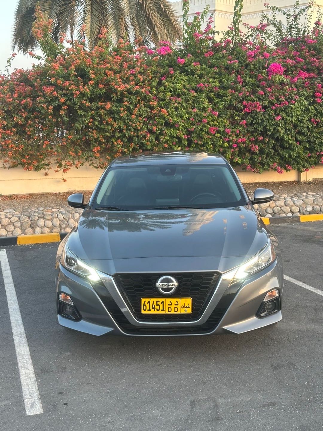 Car Image 2019 NISSAN ALTIMA SL