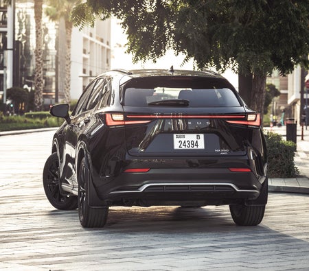 LEXUS NX 2022