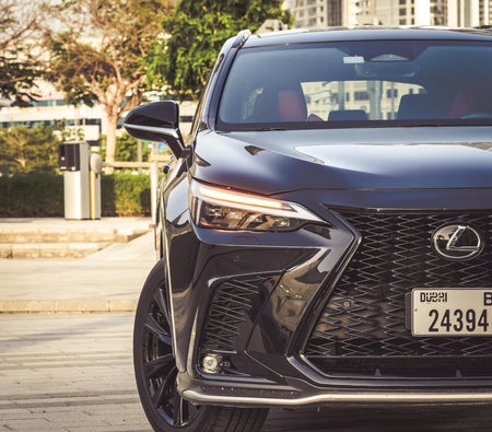 LEXUS NX 2022