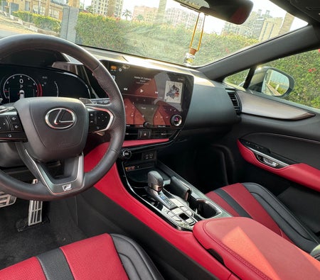 LEXUS NX 2022