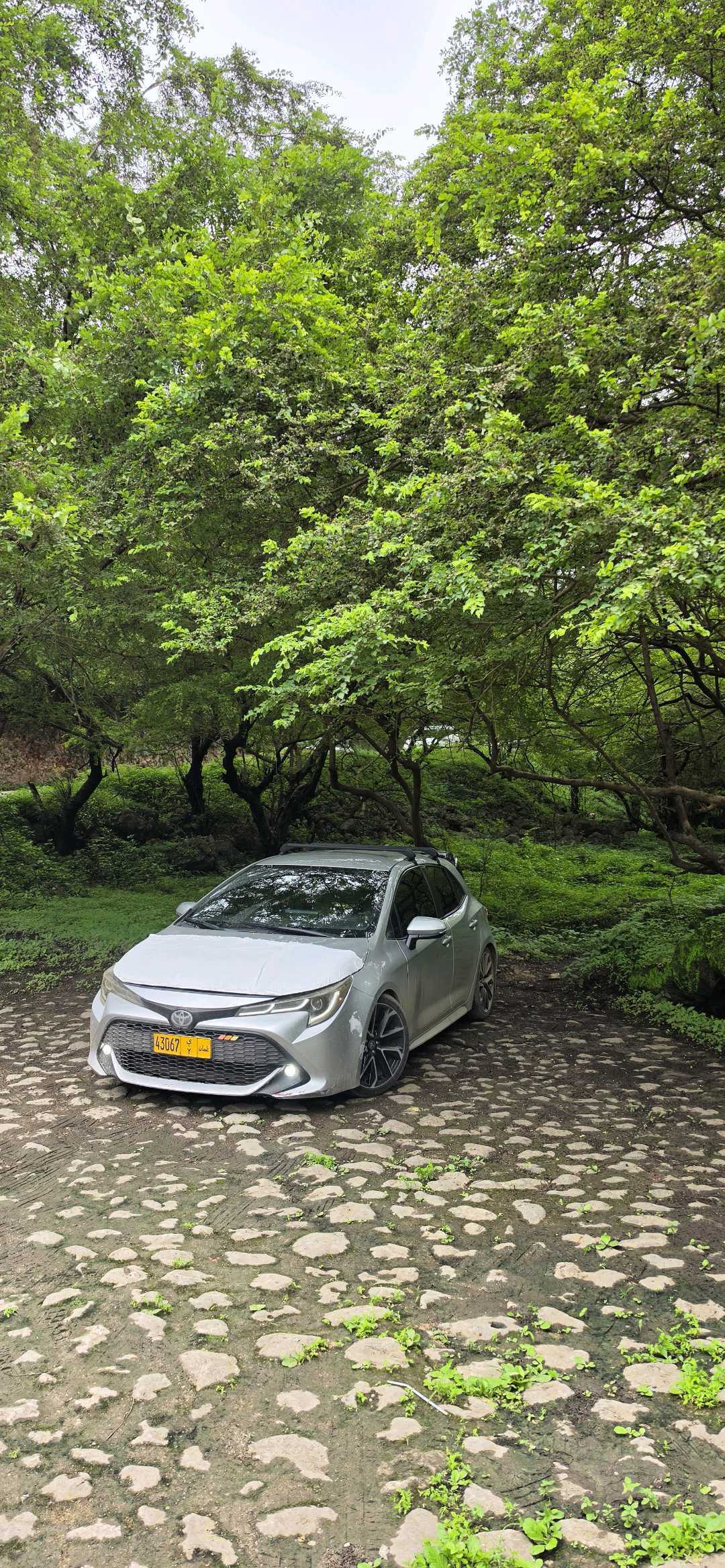 Car Image 2019 TOYOTA COROLLA SE