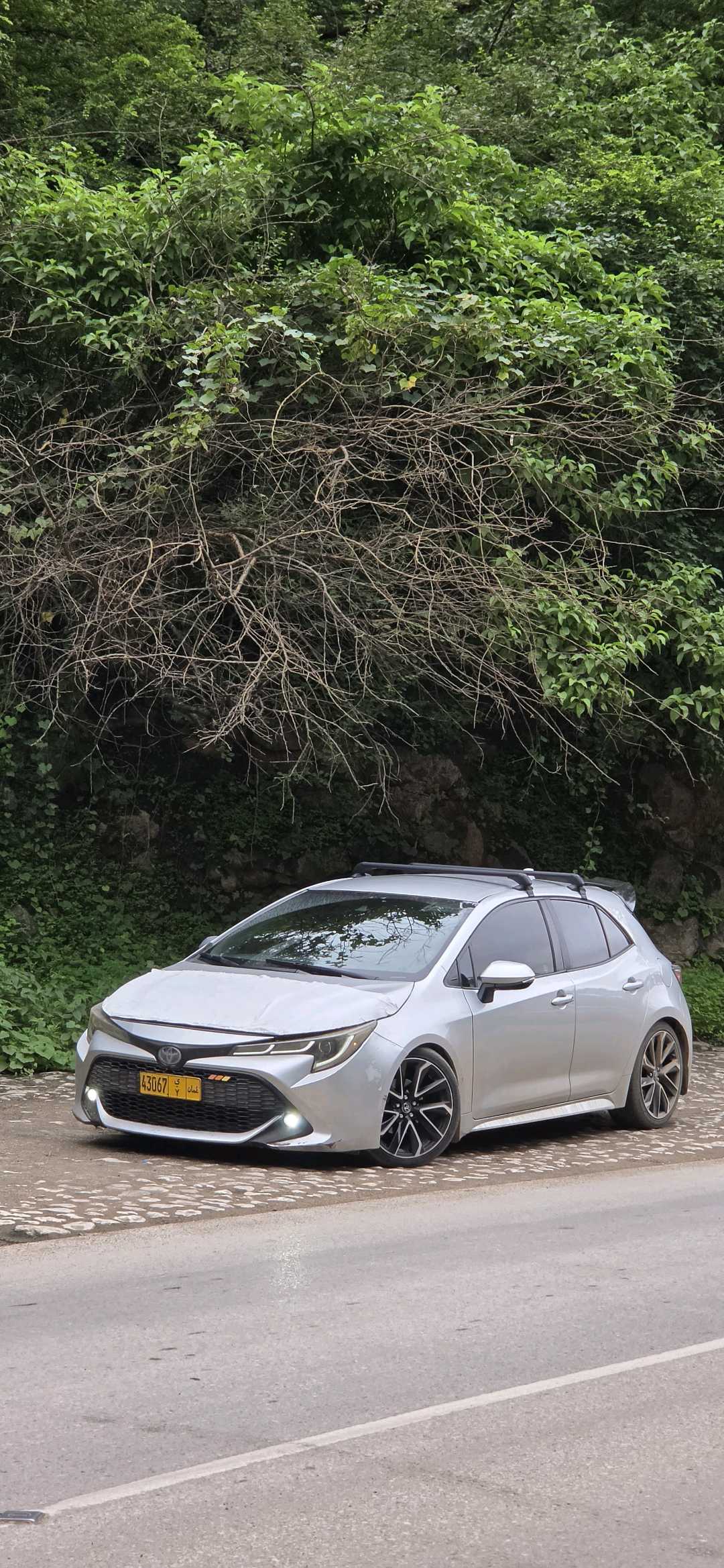 Car Image 2019 TOYOTA COROLLA SE