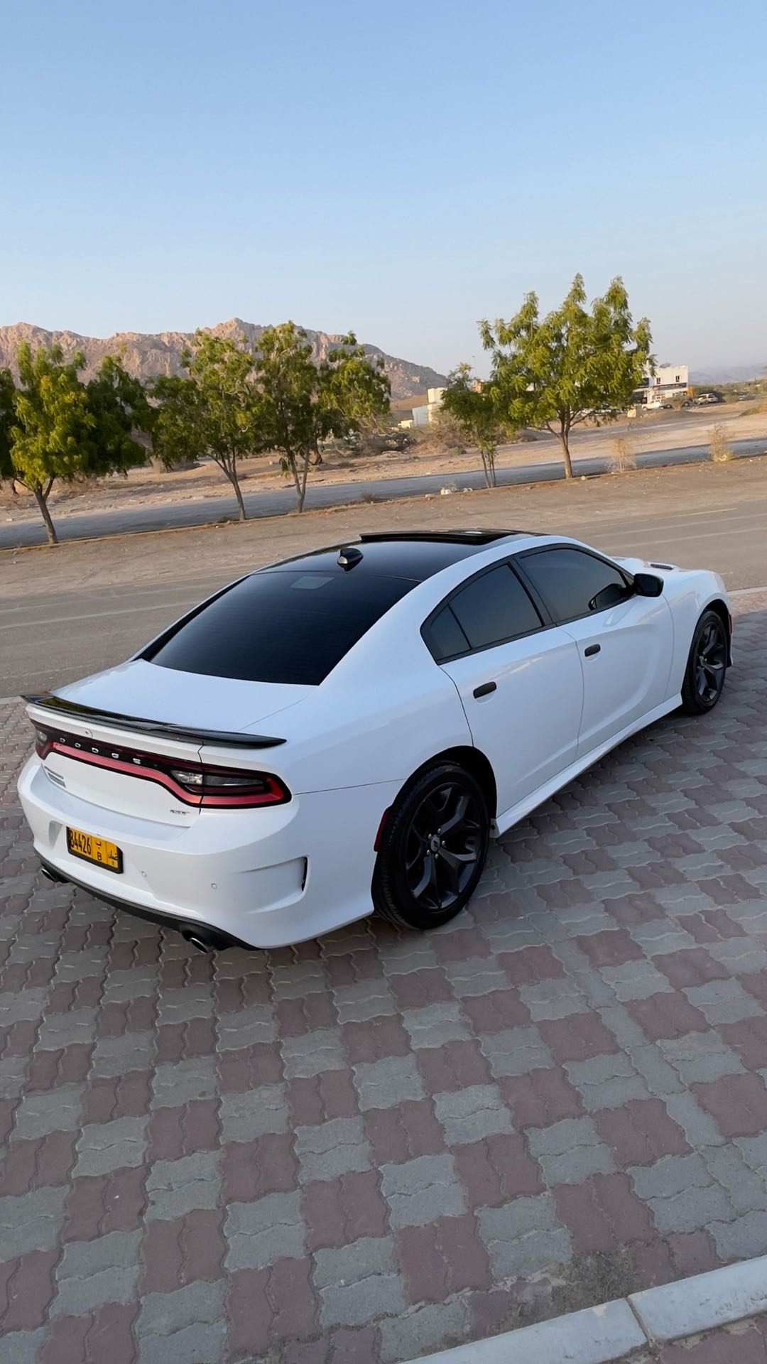 Car Image 2019 DODGE CHARGER GT