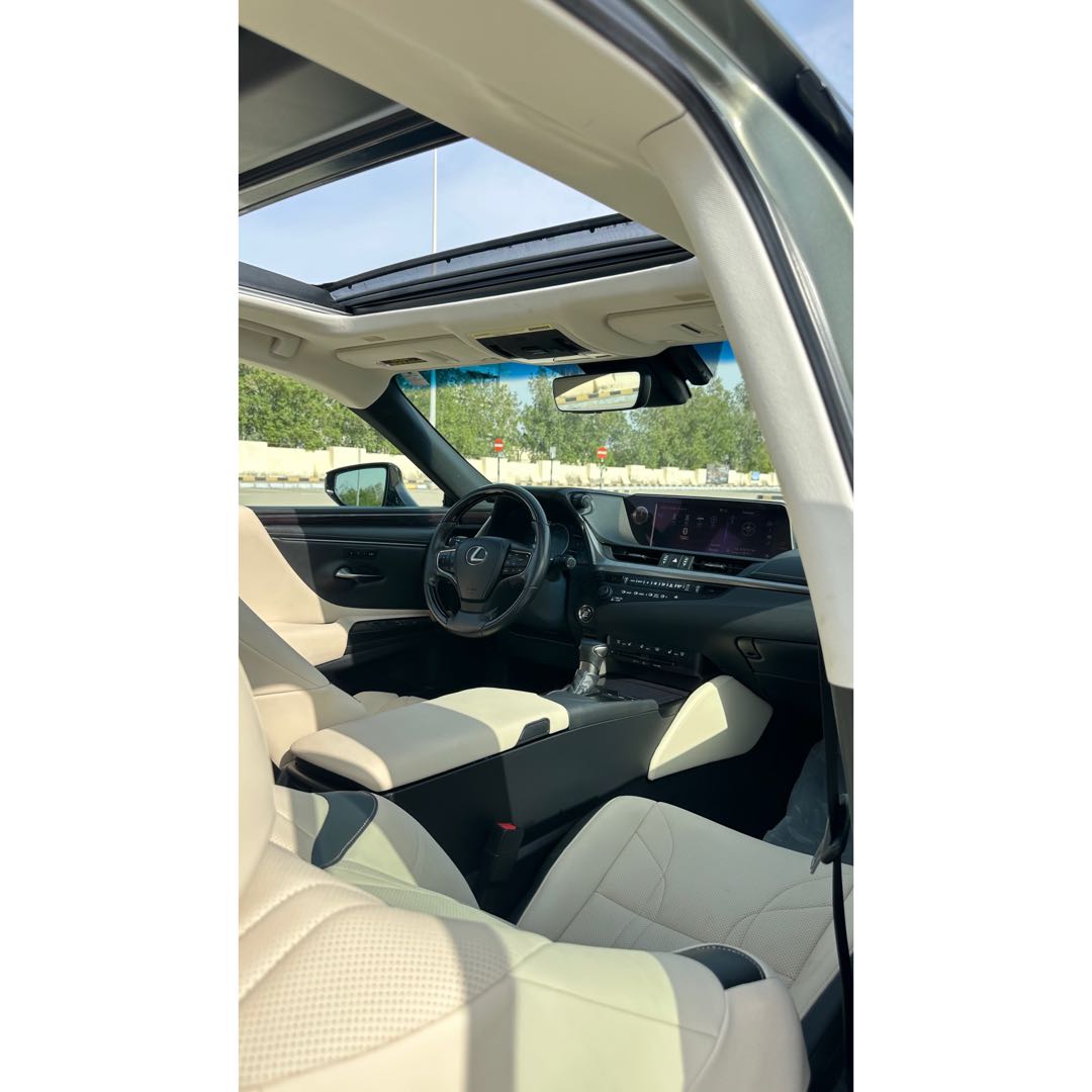 Car Image 2019 LEXUS ES Luxury