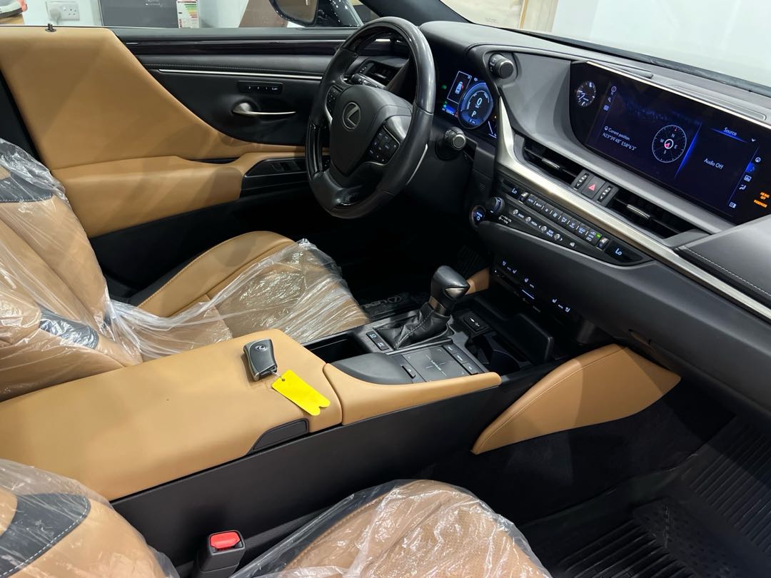 Car Image 2020 LEXUS ES 300