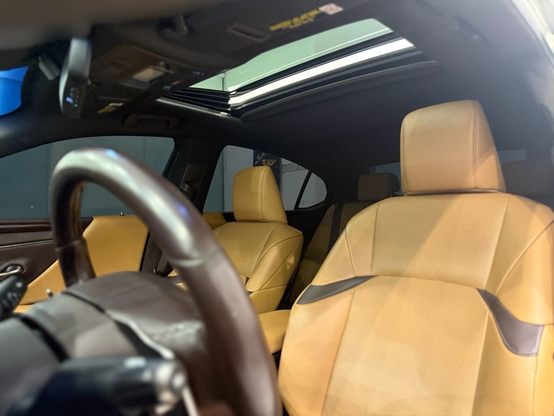 Car Image 2019 LEXUS ES 350