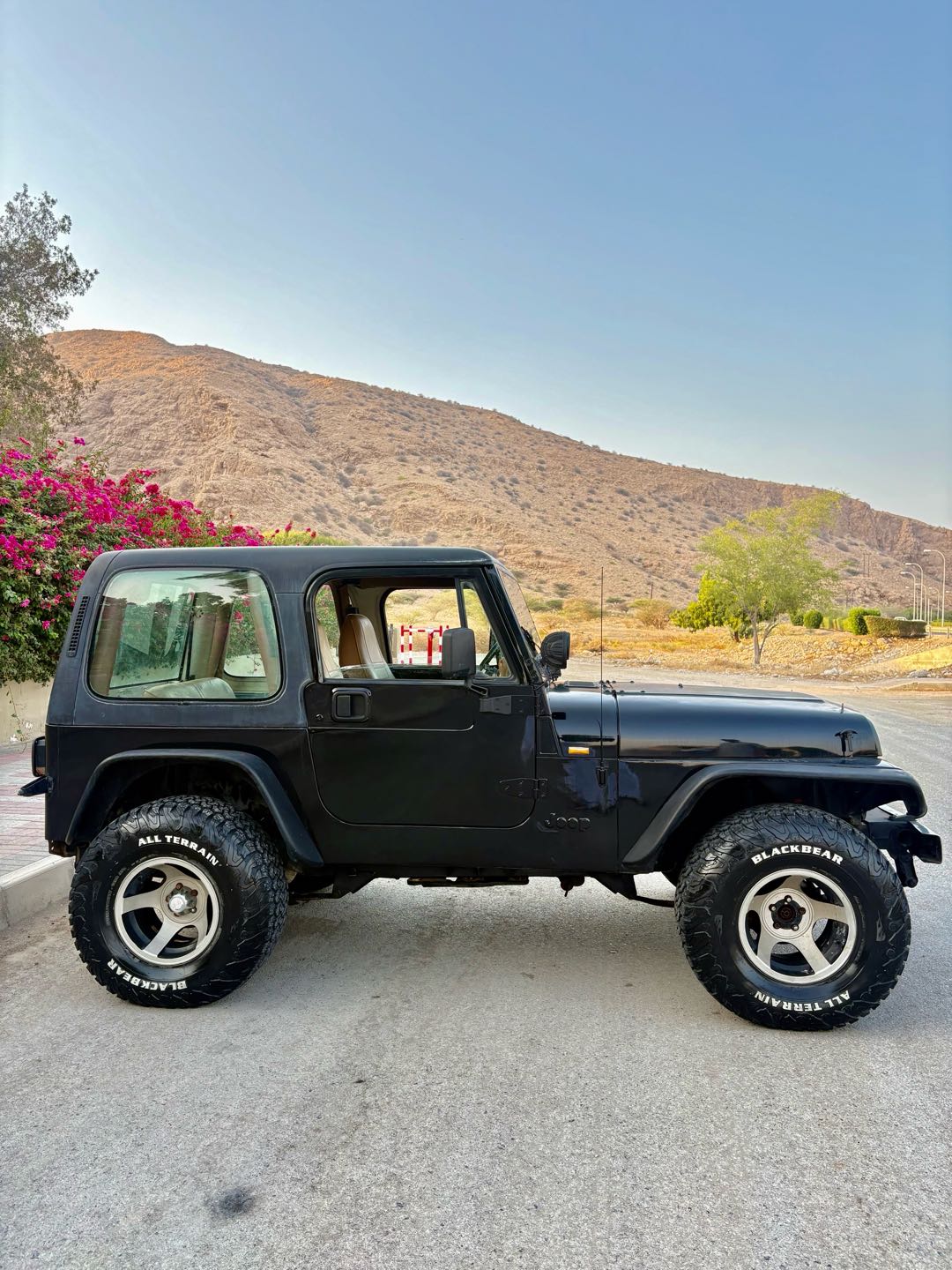 Car Image 1995 JEEP WRANGLER YJ