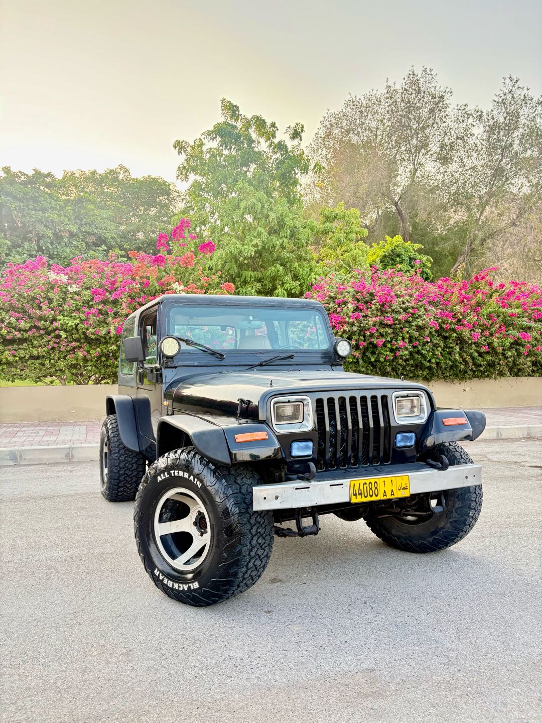 Car Image 1995 JEEP WRANGLER YJ