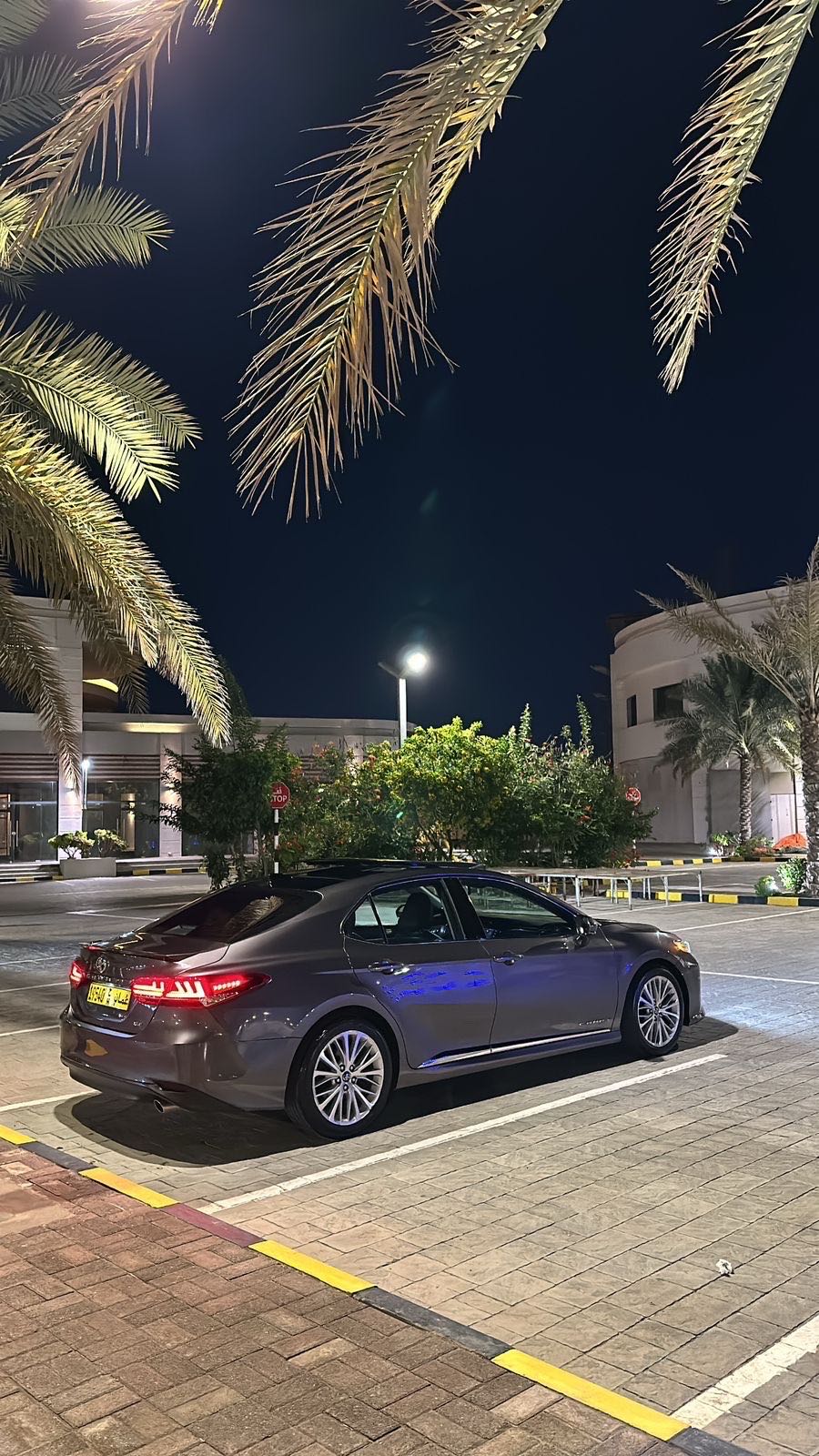 Car Image 2019 TOYOTA CAMRY XLE