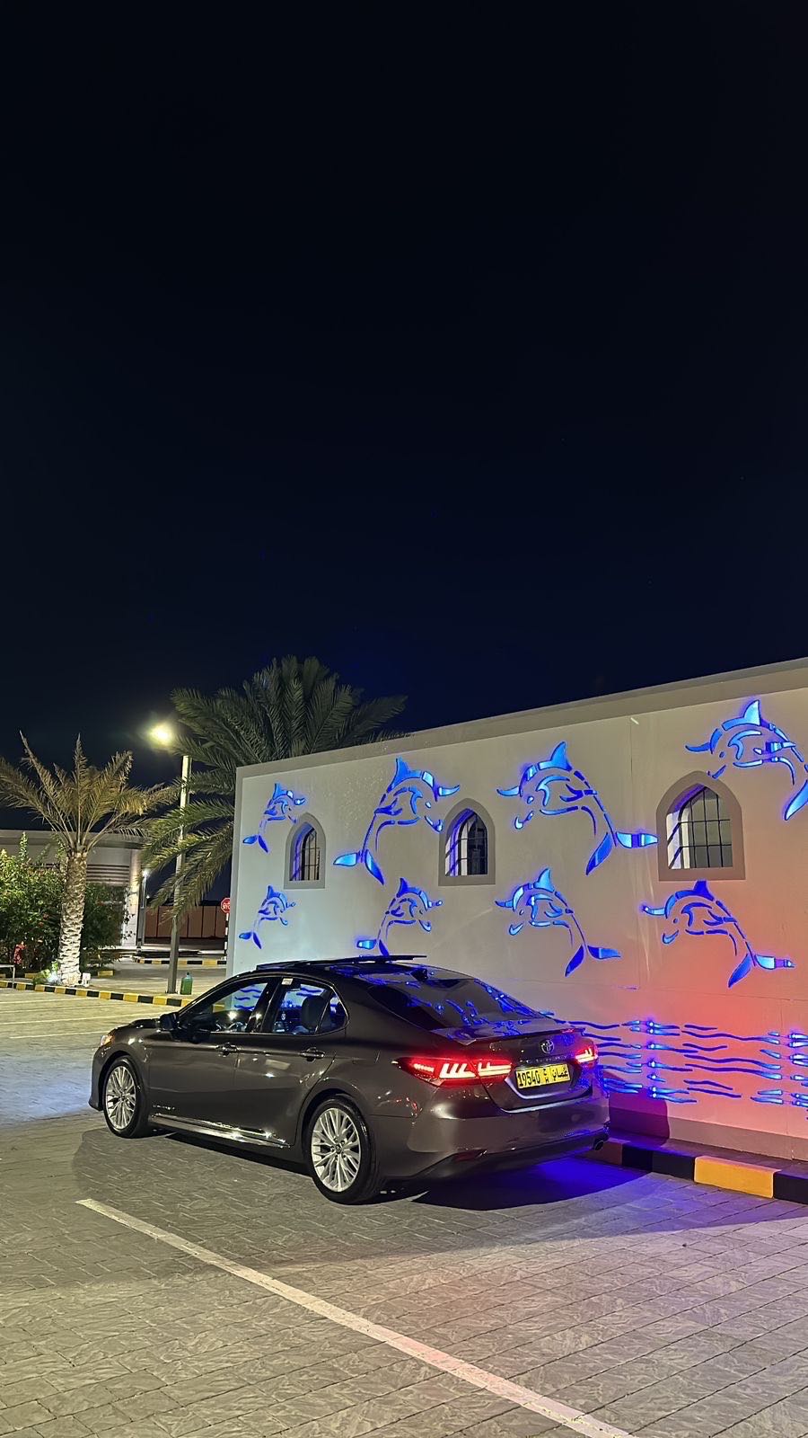 Car Image 2019 TOYOTA CAMRY XLE