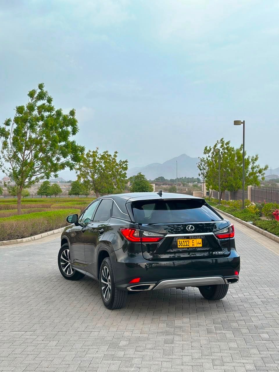 Car Image 2022 LEXUS RX 350