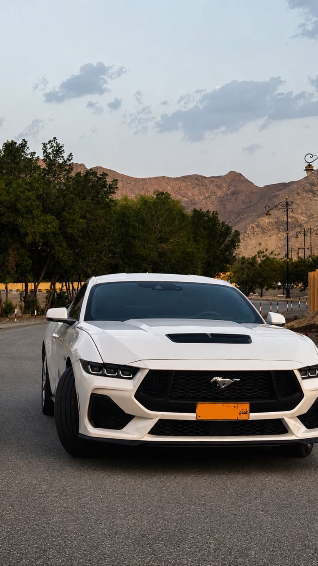 FORD MUSTANG 2025