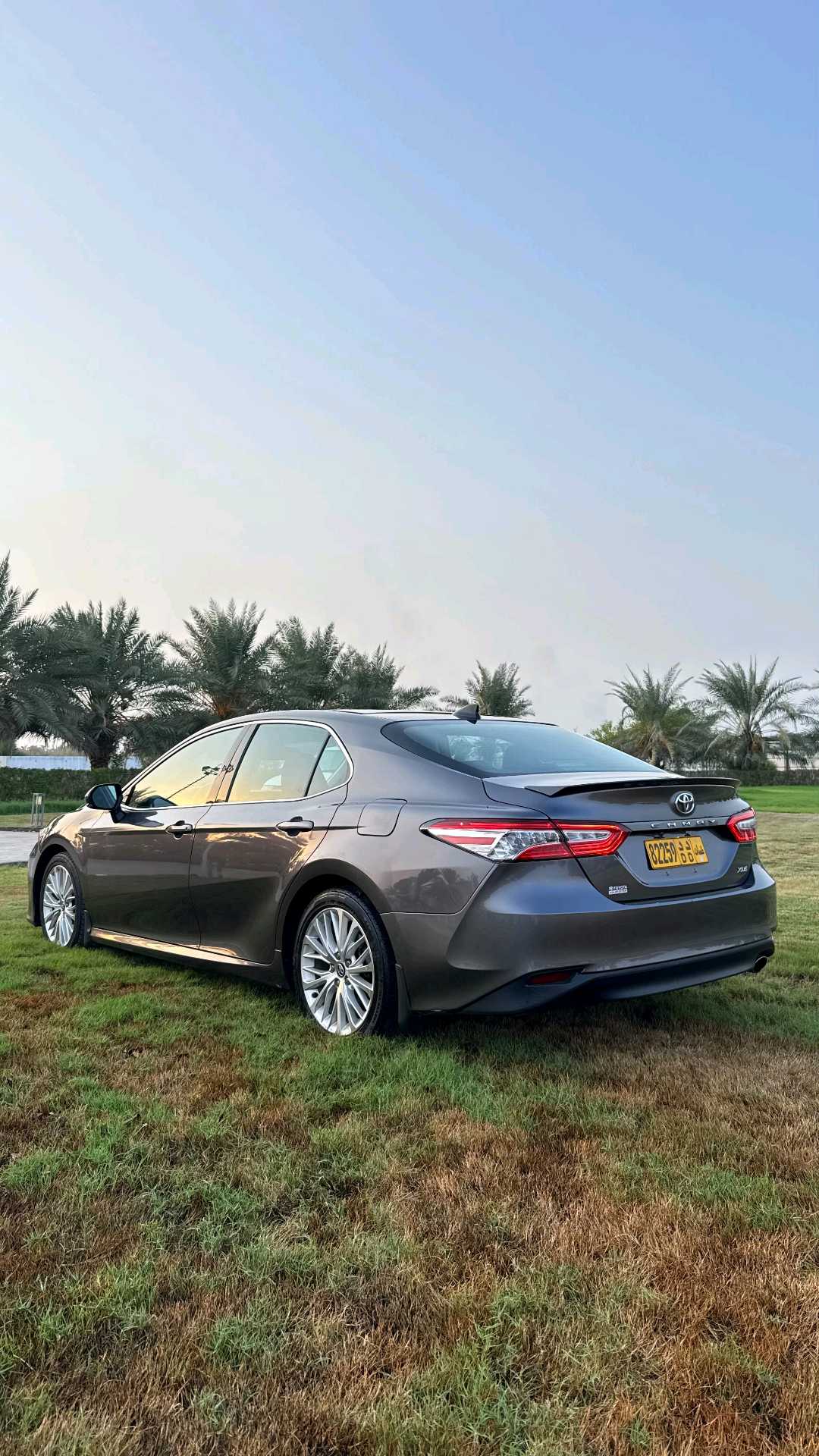 Car Image 2020 TOYOTA CAMRY XLE