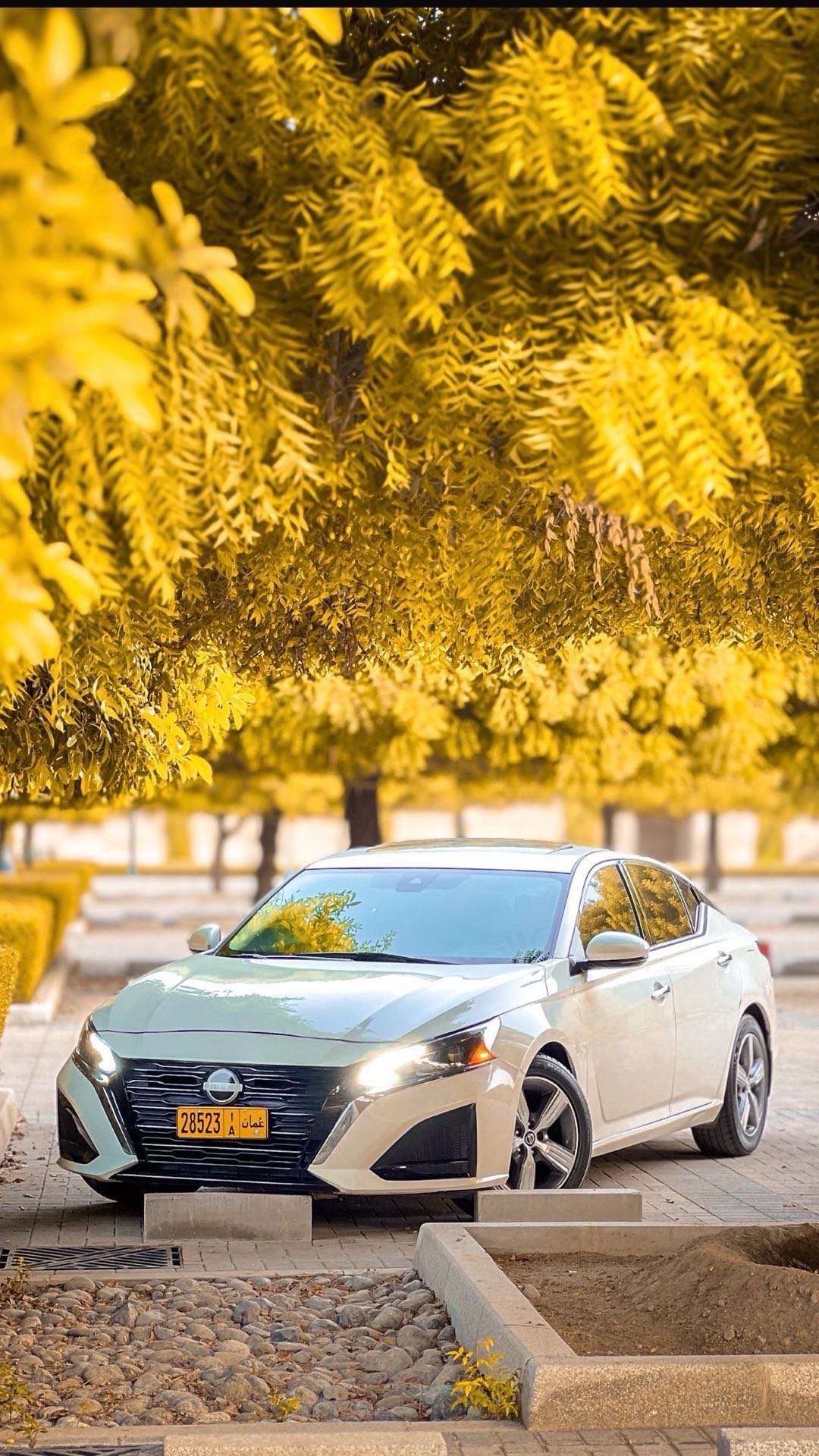 Car Image 2019 NISSAN ALTIMA SL