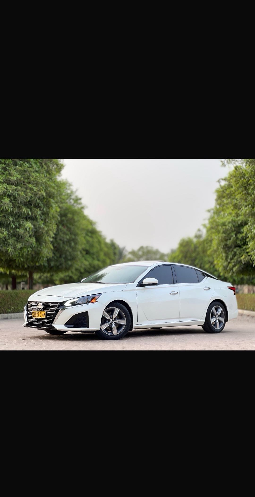 Car Image 2019 NISSAN ALTIMA SL