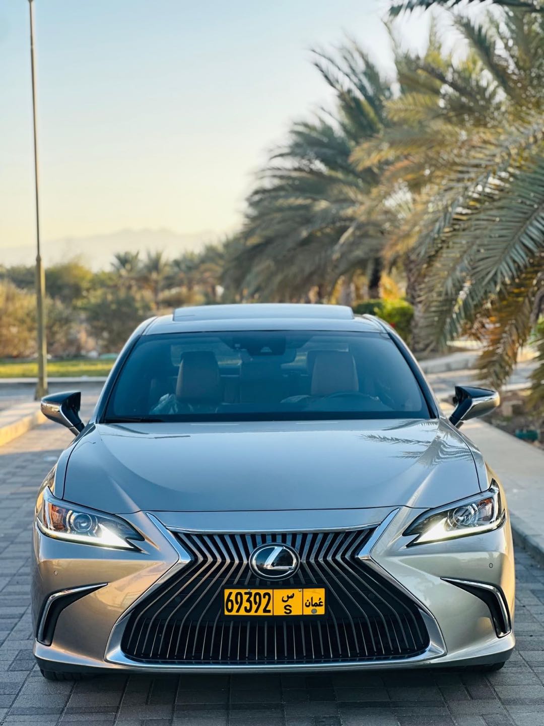 Car Image 2021 LEXUS ES 350