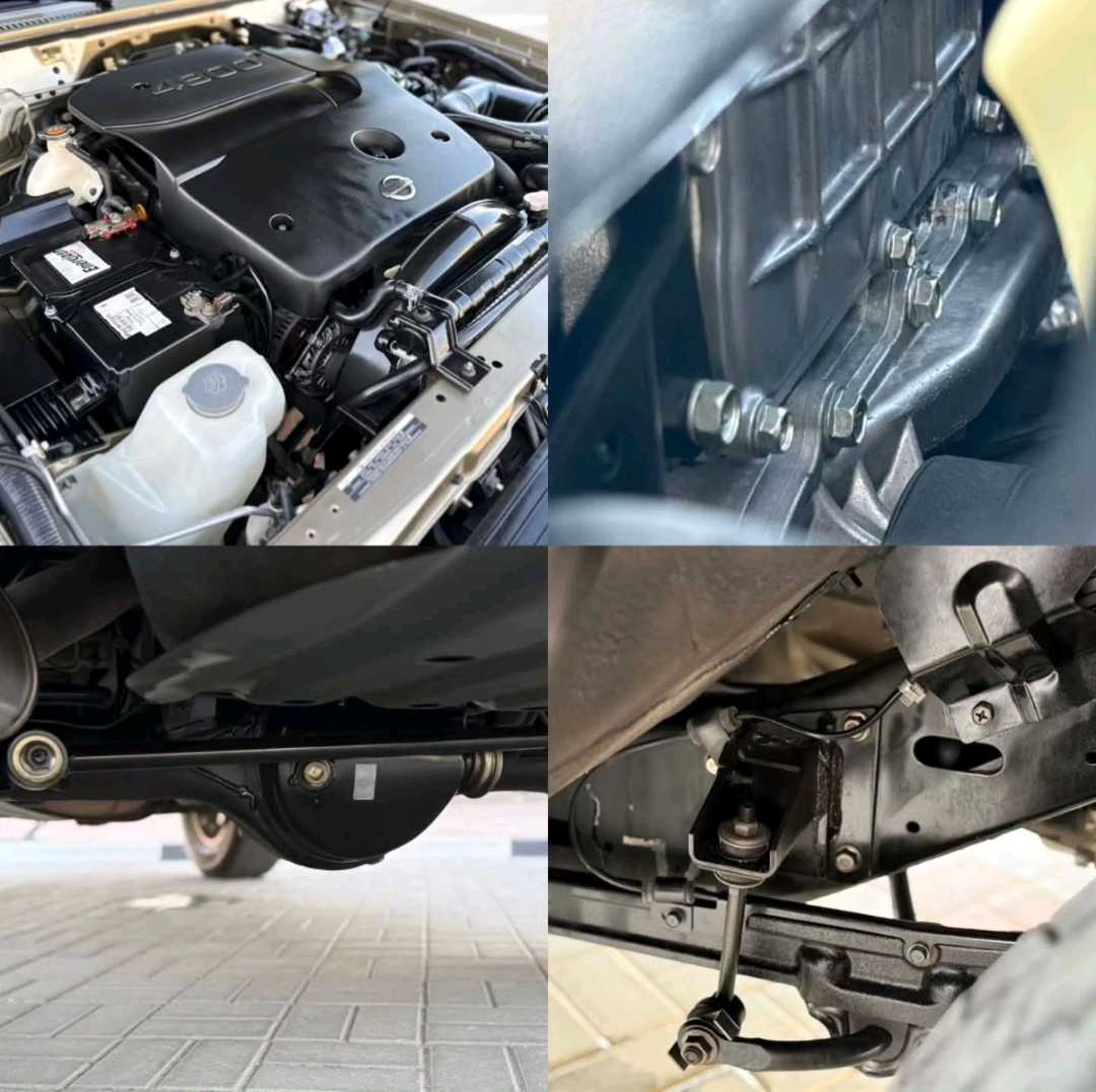 Car Image 2019 NISSAN SAFARI 