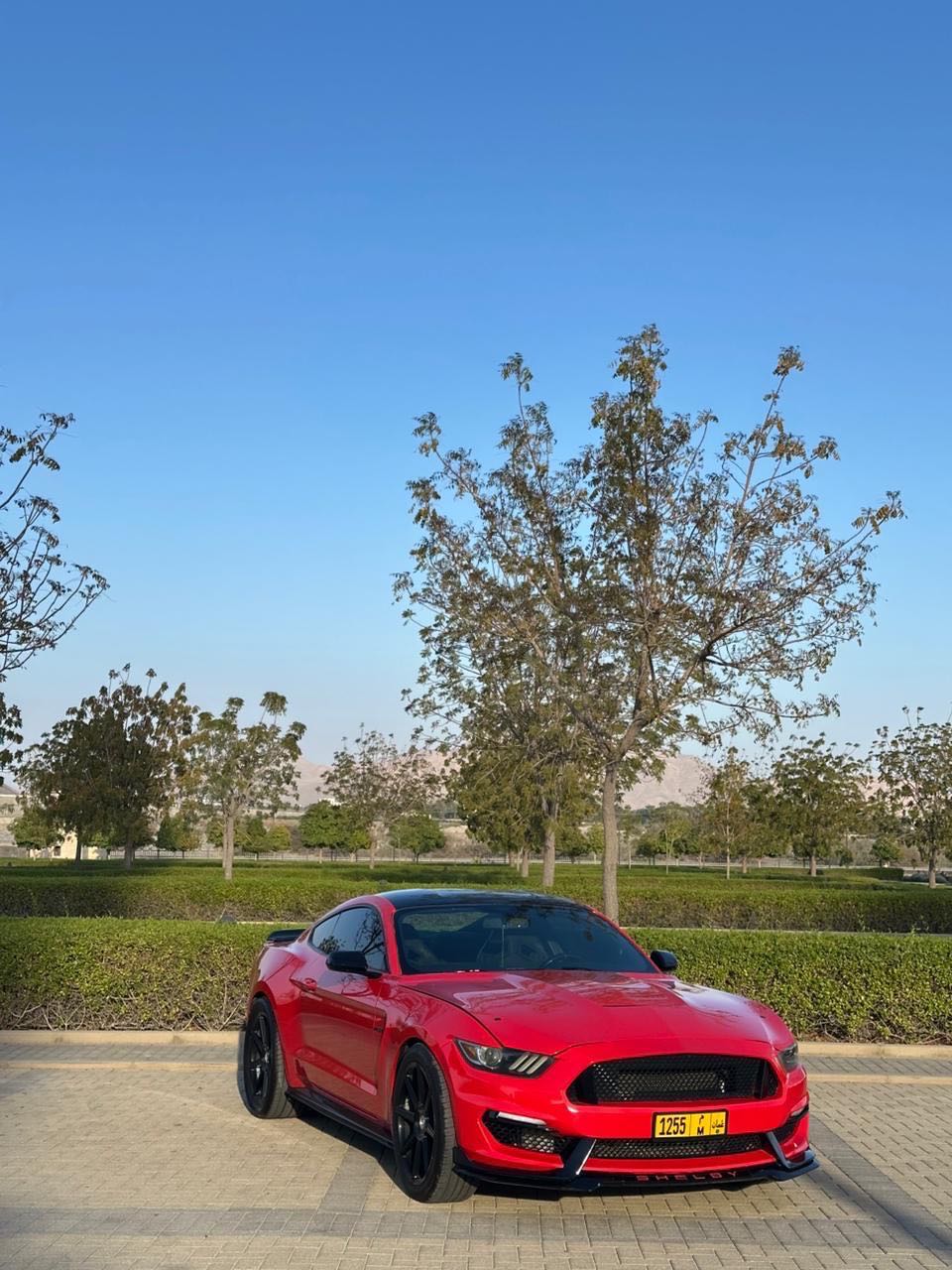 Car Image 2015 FORD MUSTANG GT
