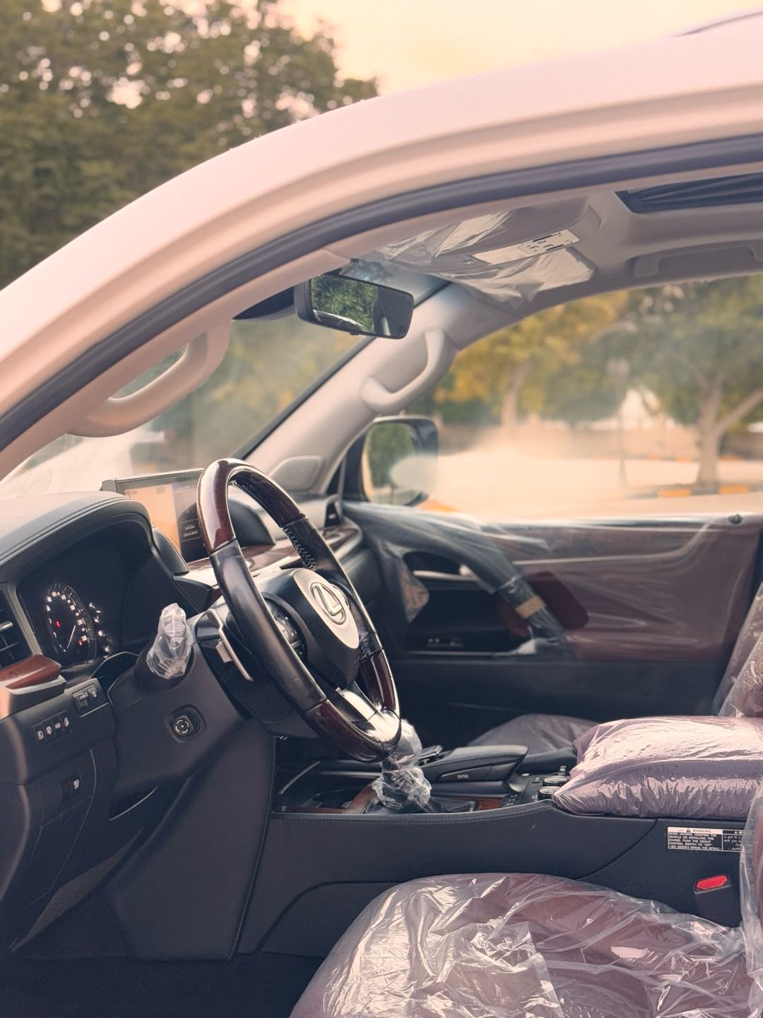 Car Image 2018 LEXUS LX 570
