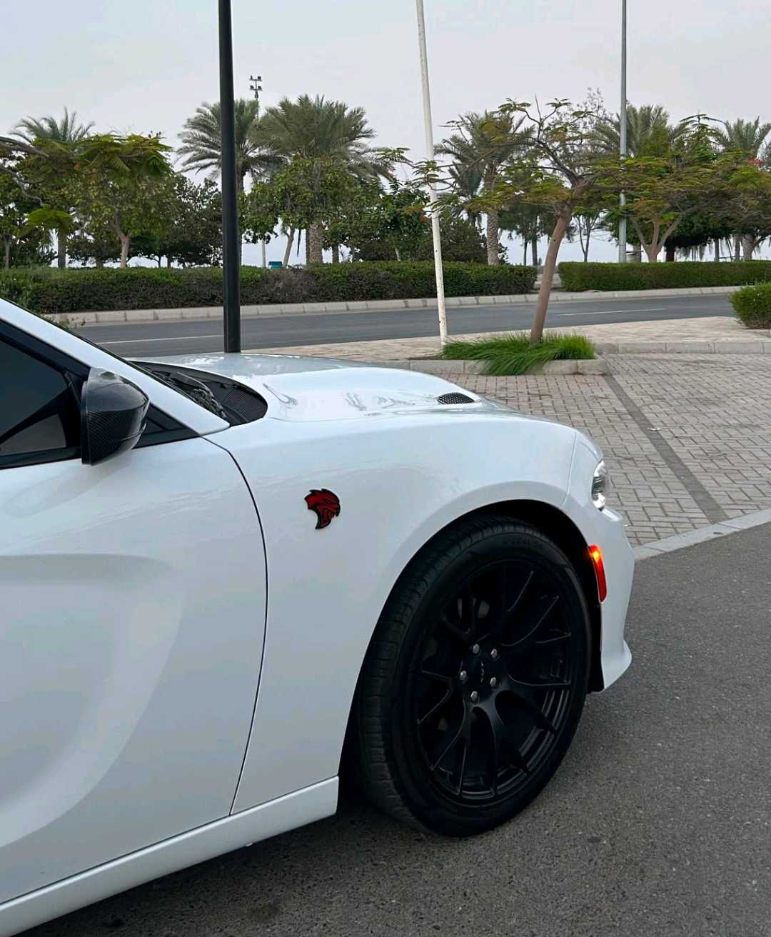 Car Image 2019 DODGE CHARGER SXT