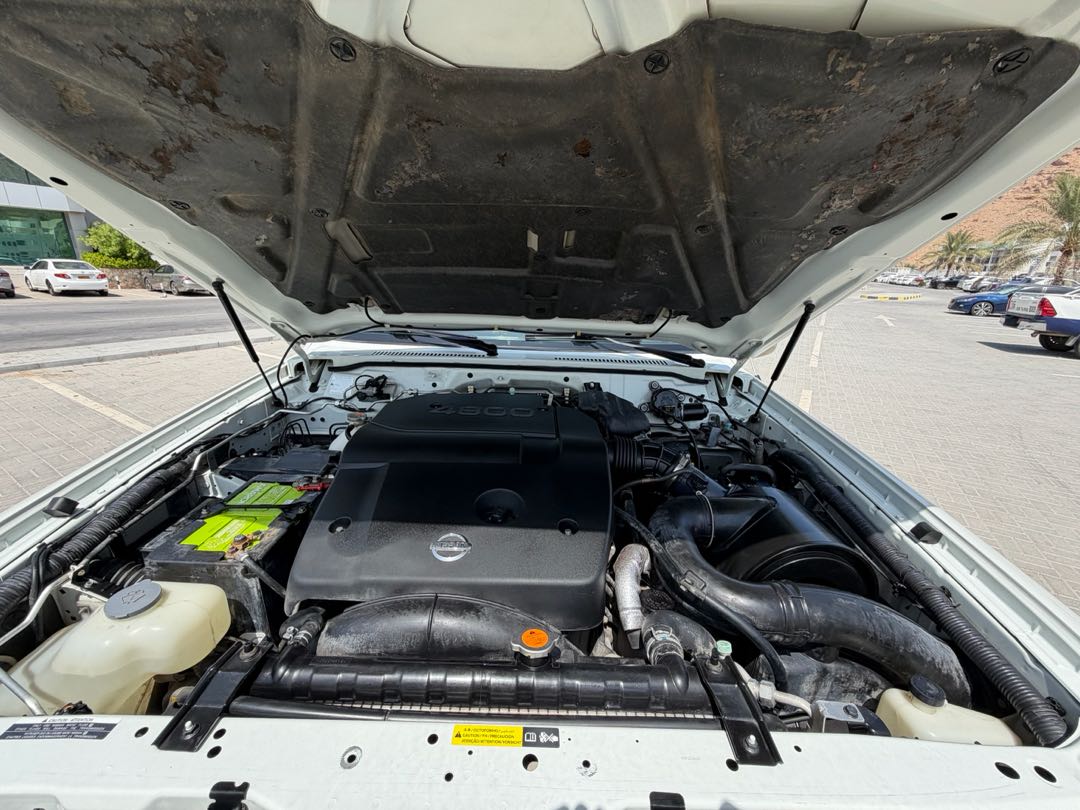 Car Image 2019 NISSAN SAFARI 