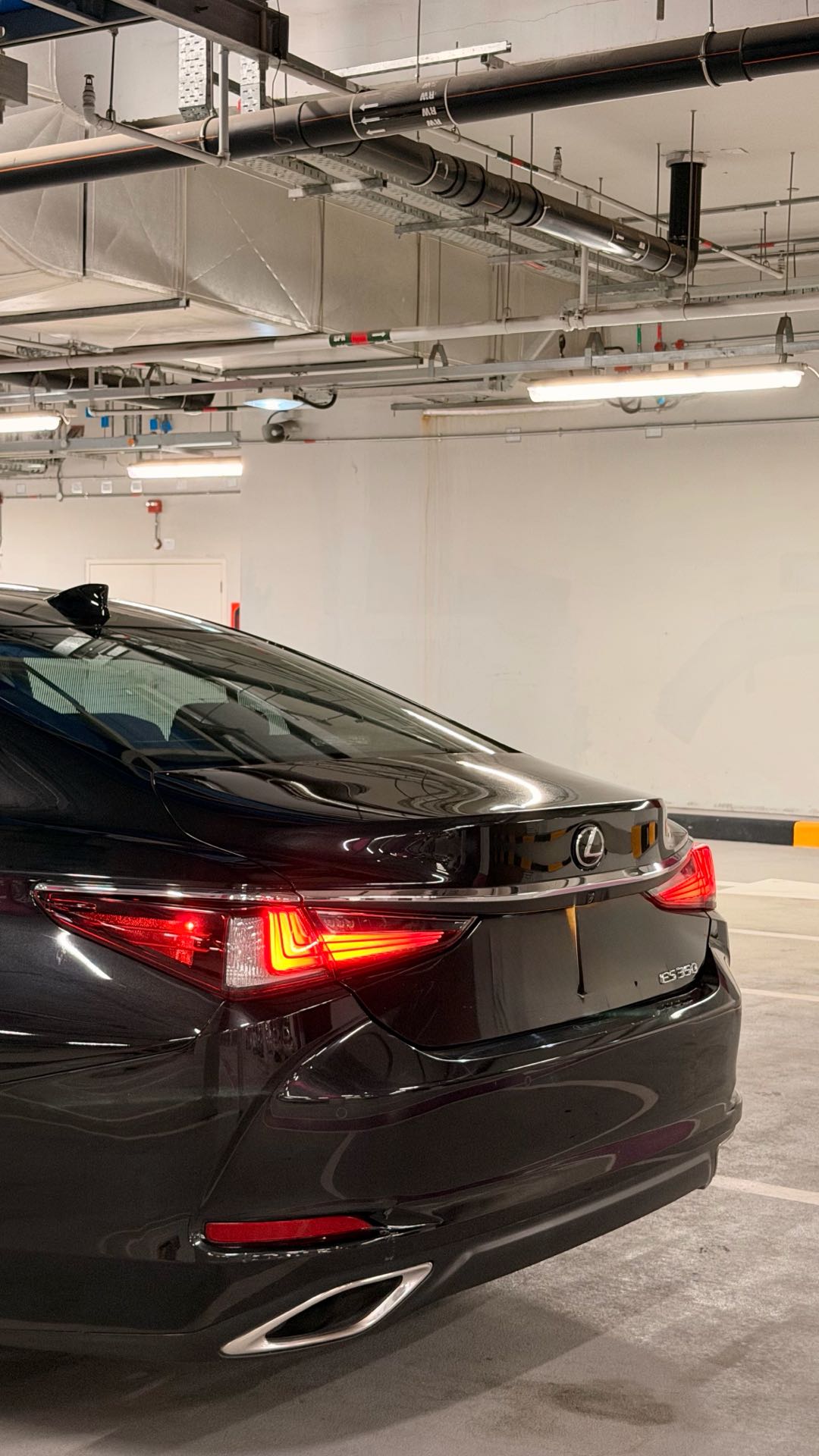 Car Image 2019 LEXUS ES 350